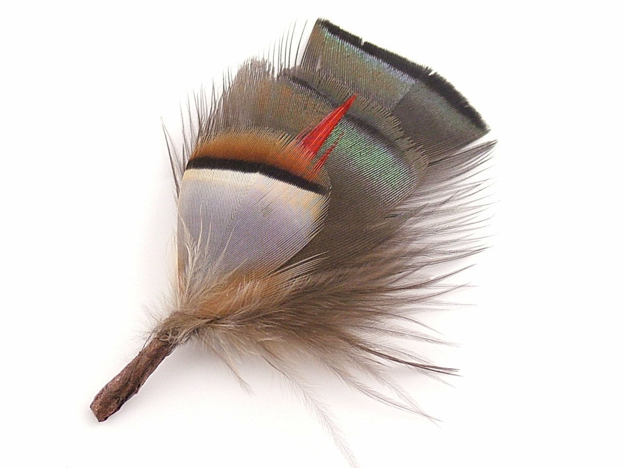 Partridge Hat Mount - Pack of 10