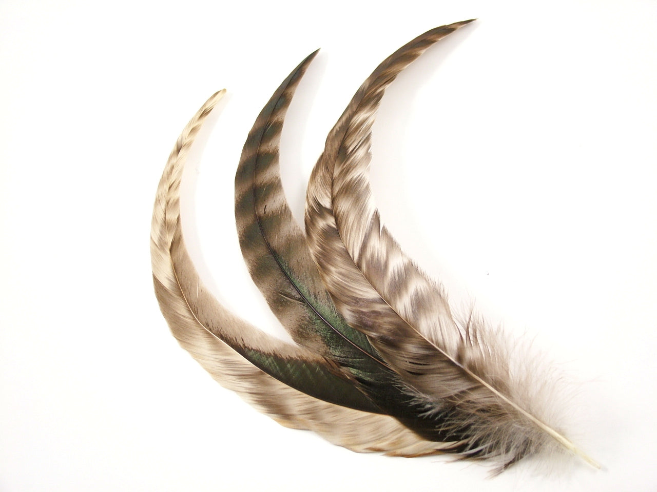 Long Chinchilla Coque Fringe - Dancewear colours