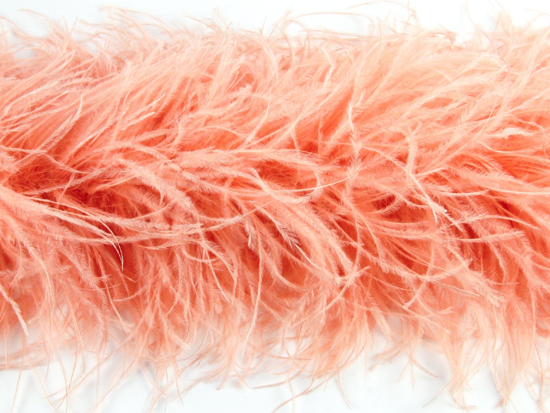 5 Ply Ostrich Feather boa - Fashion Colours