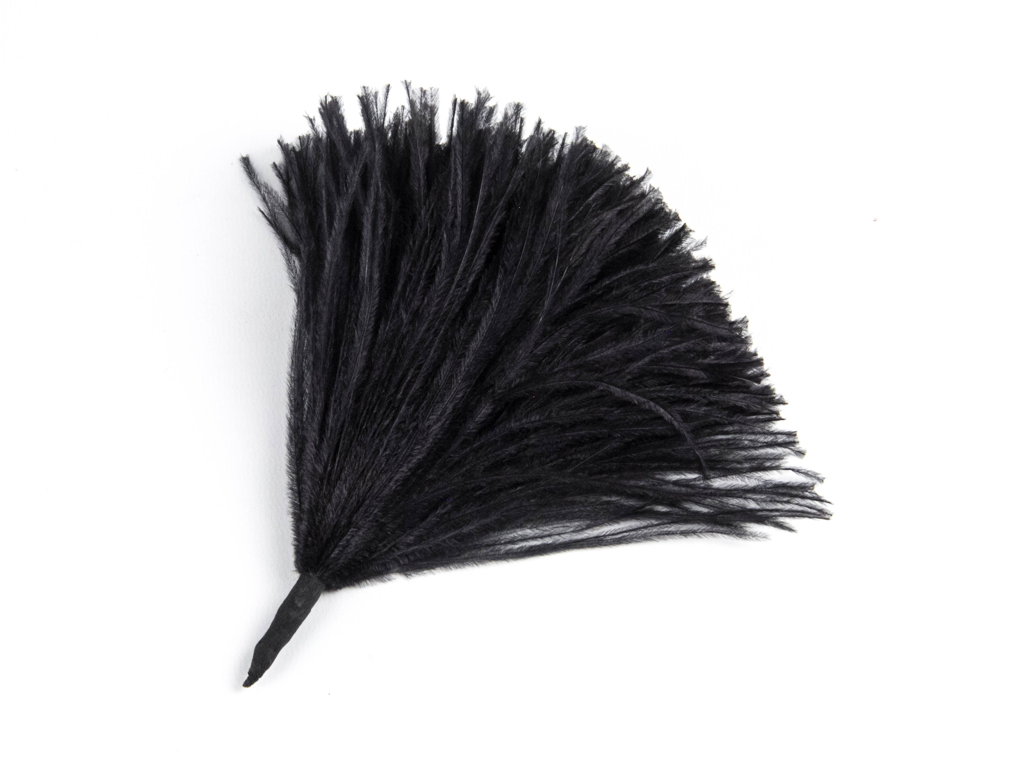 Ostrich Pom