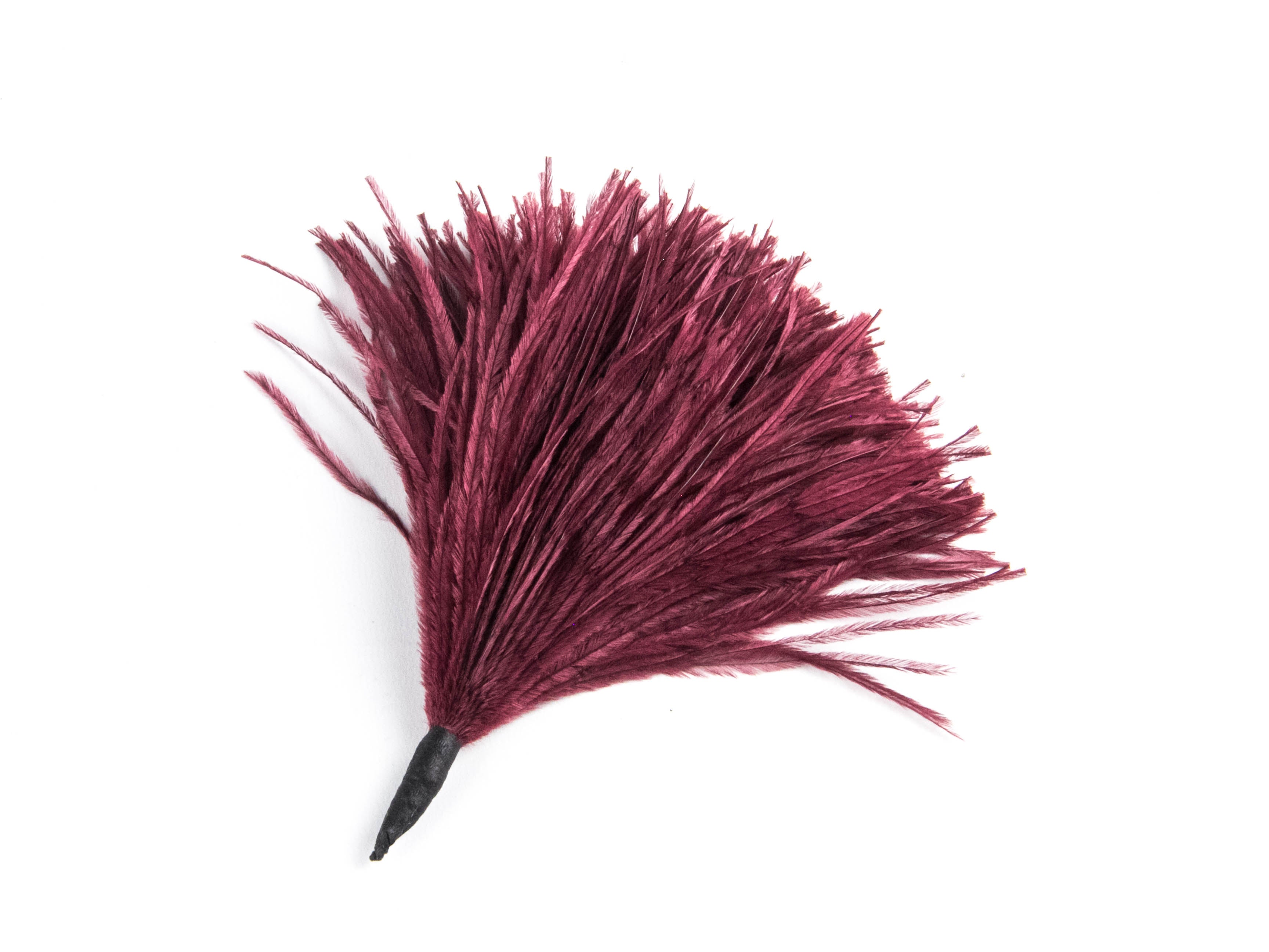 Ostrich Pom
