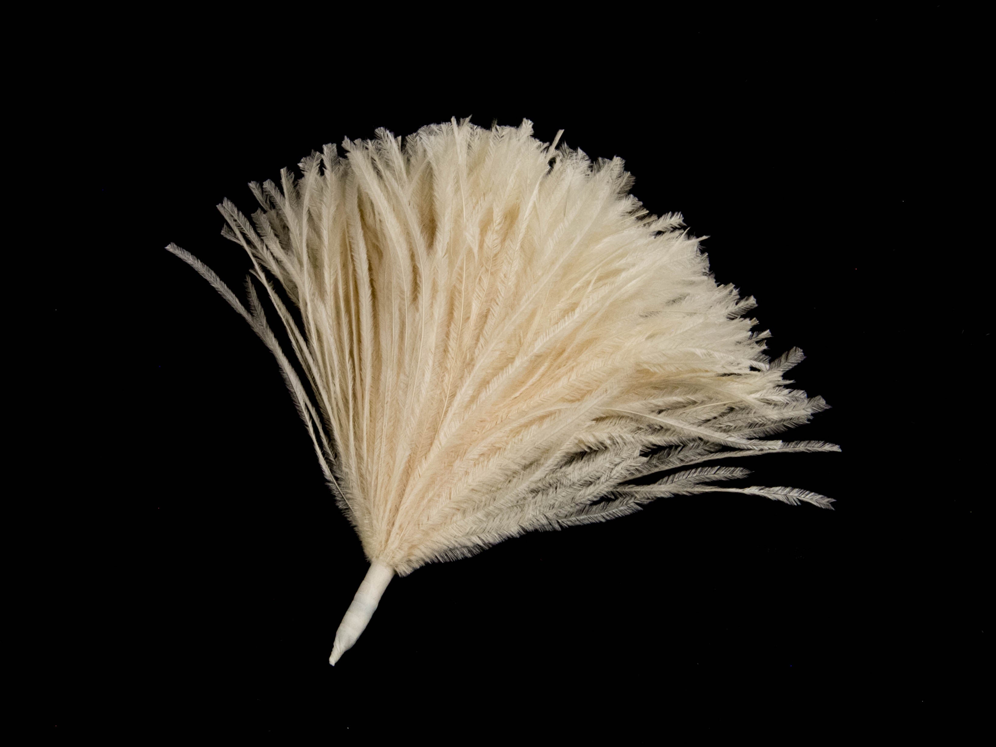 Ostrich Pom