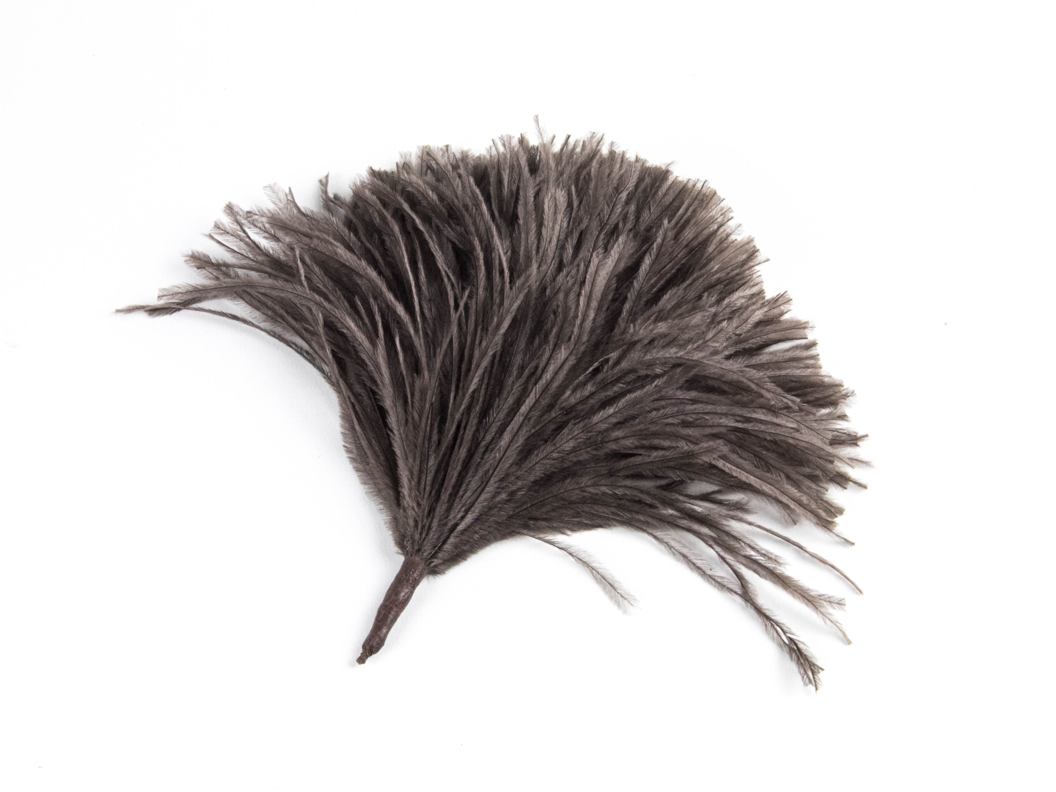 Ostrich Pom