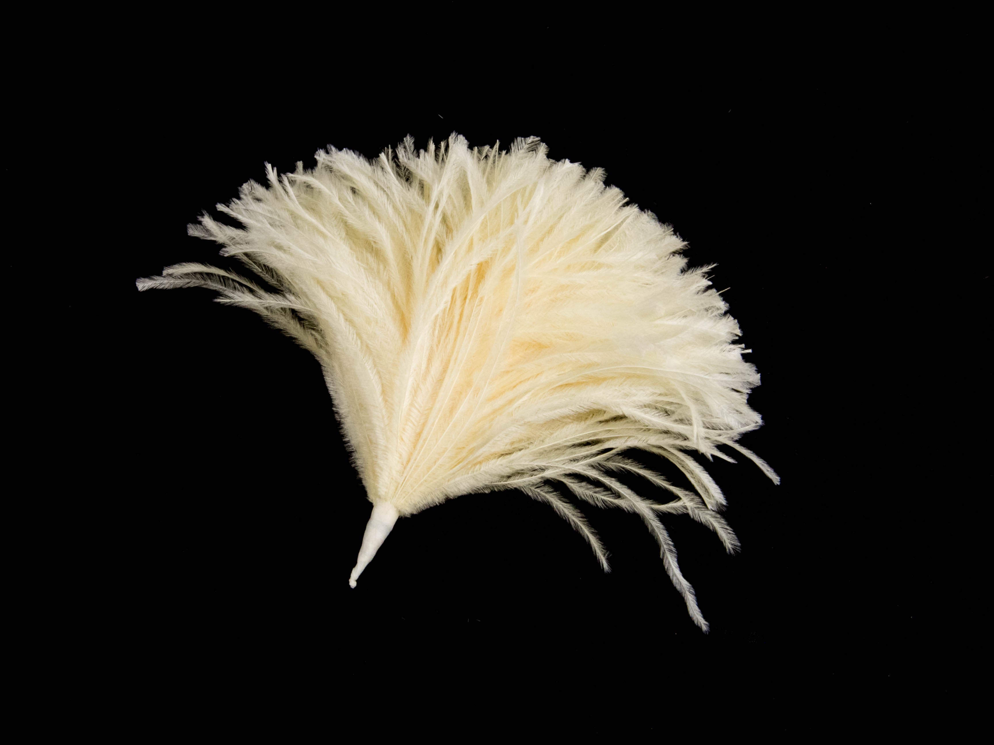 Ostrich Pom