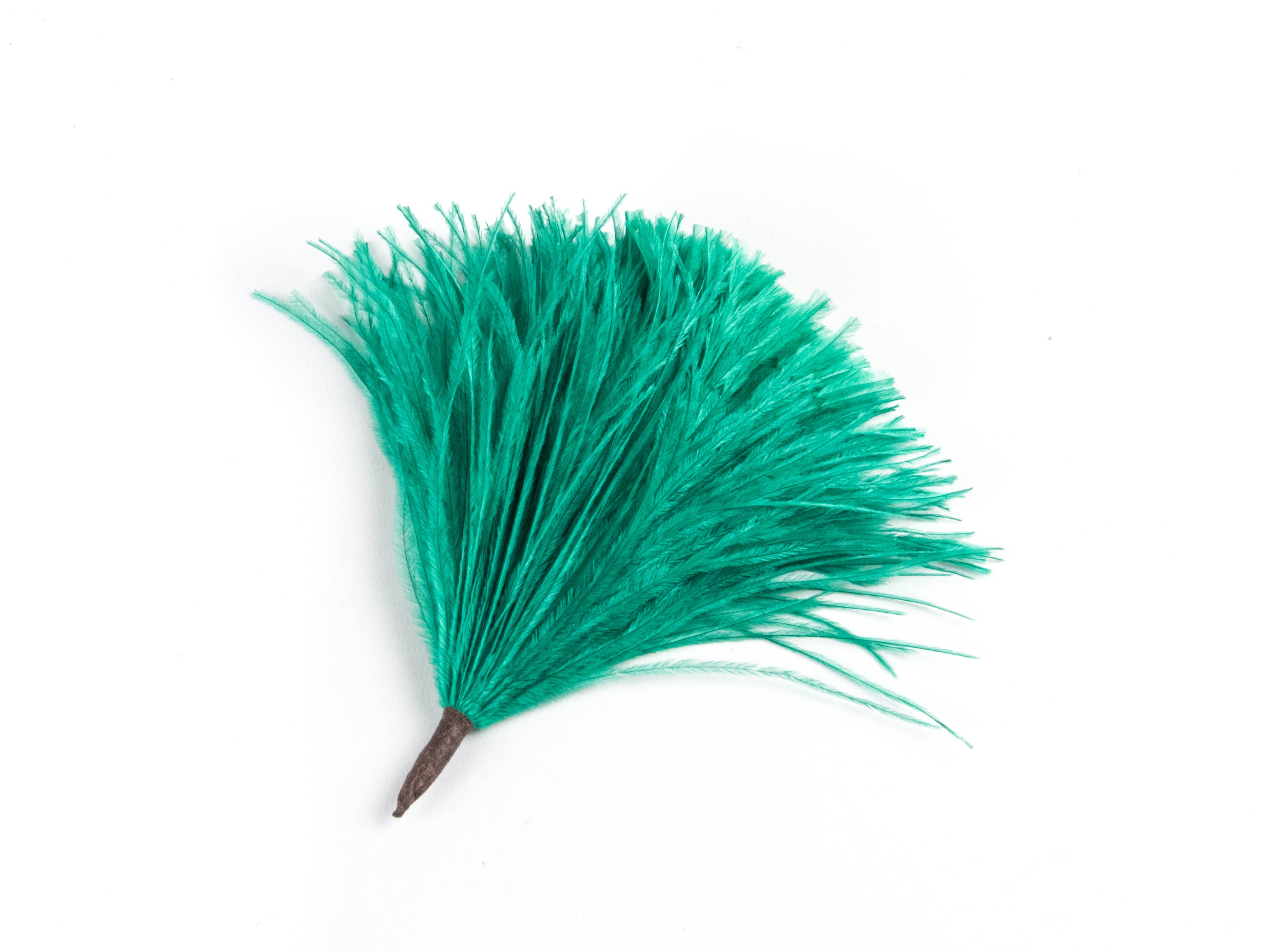 Ostrich Pom