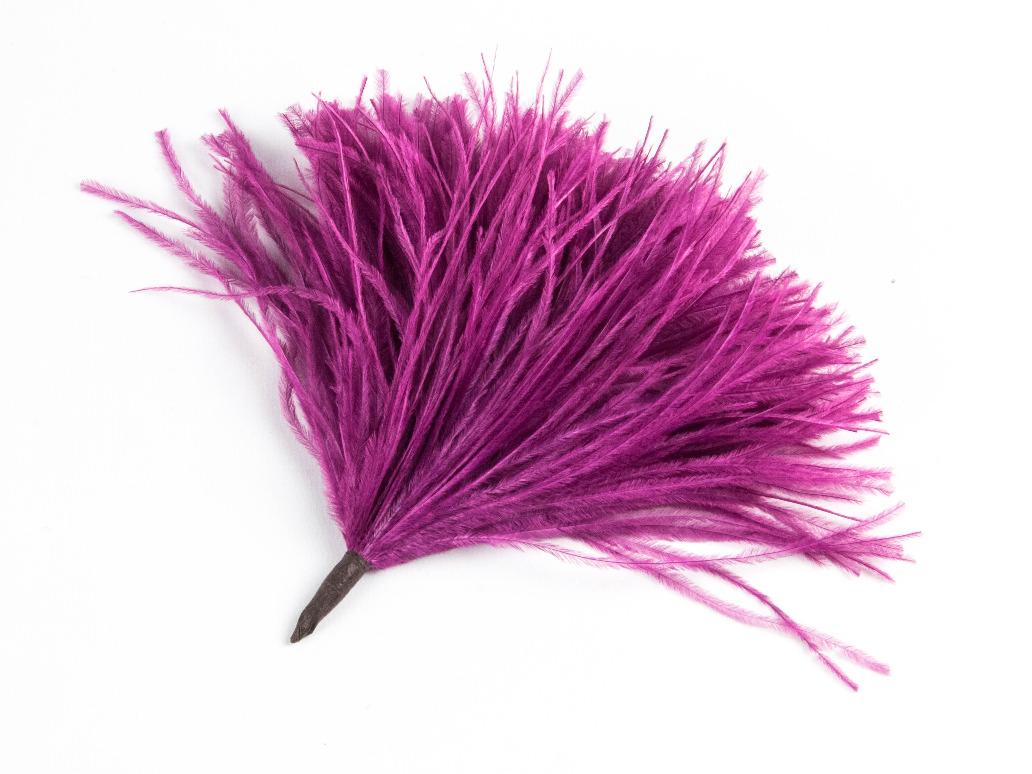 Ostrich Pom