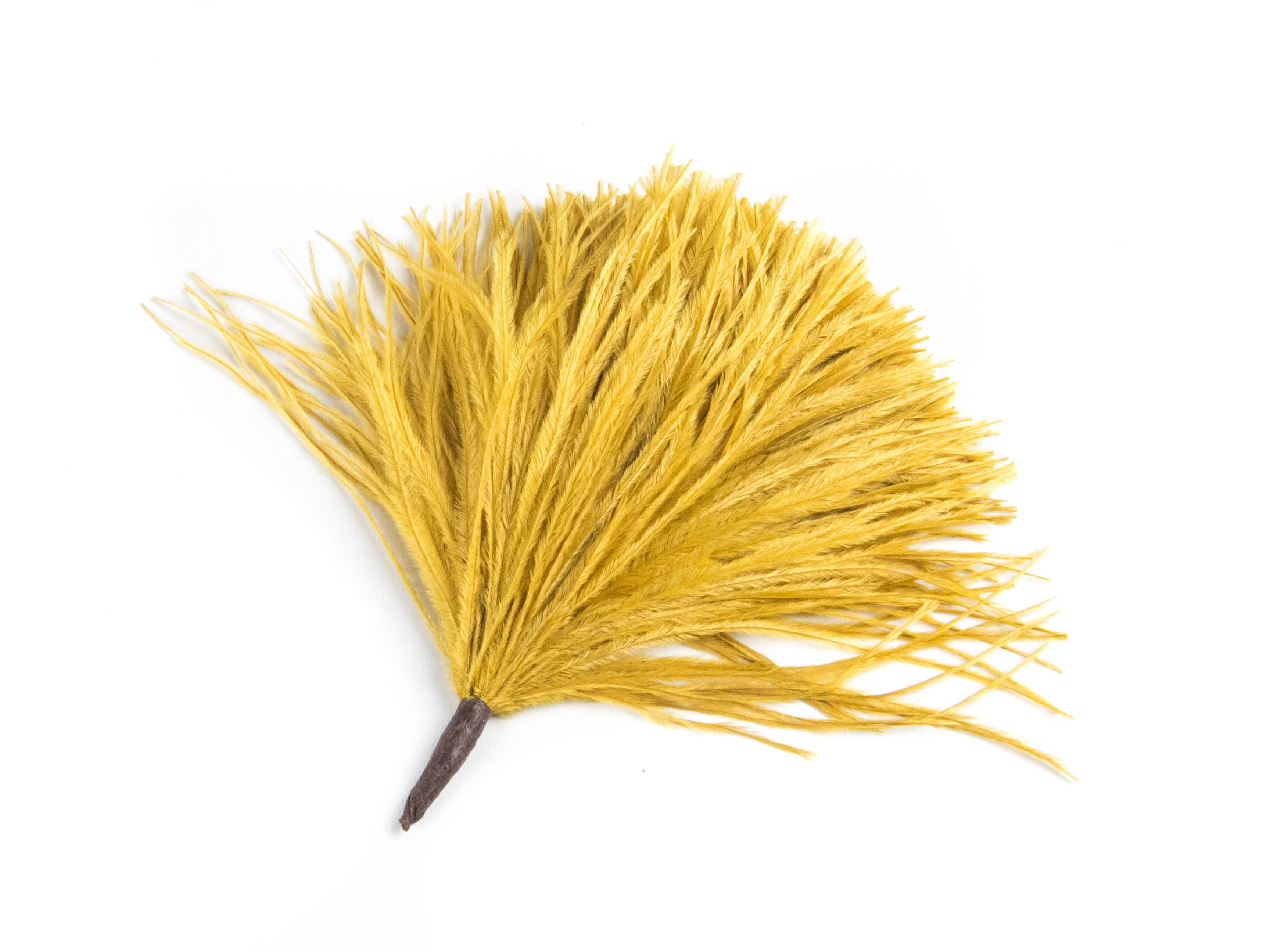 Ostrich Pom