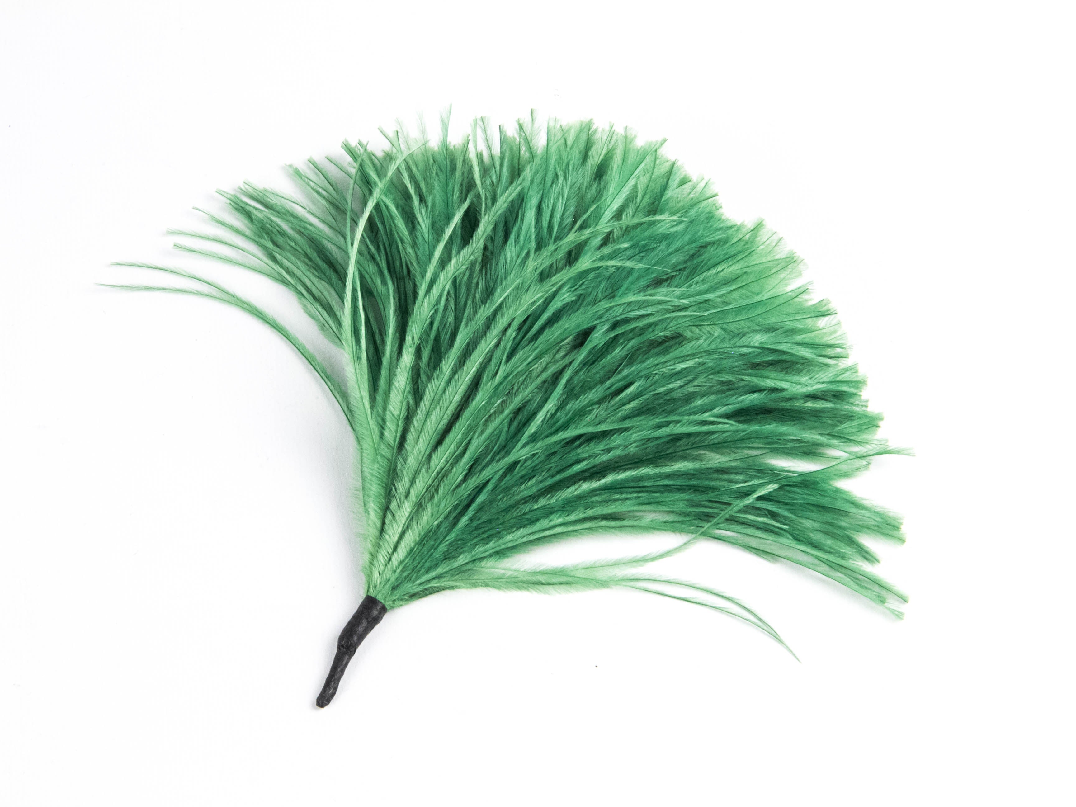 Ostrich Pom