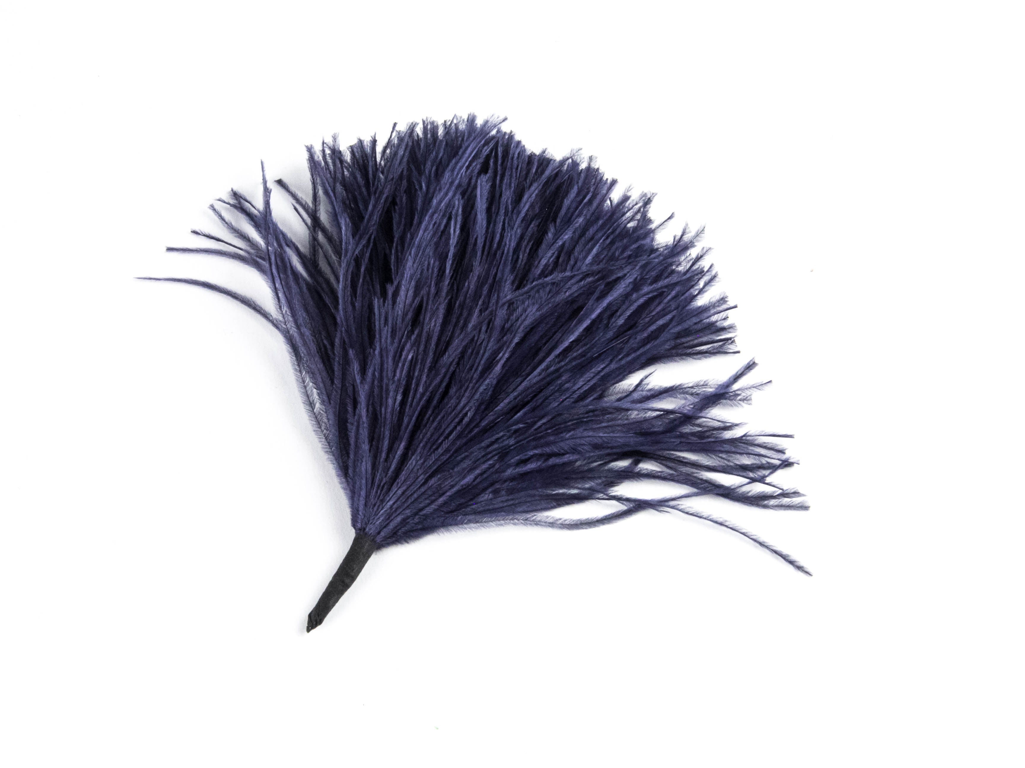 Ostrich Pom