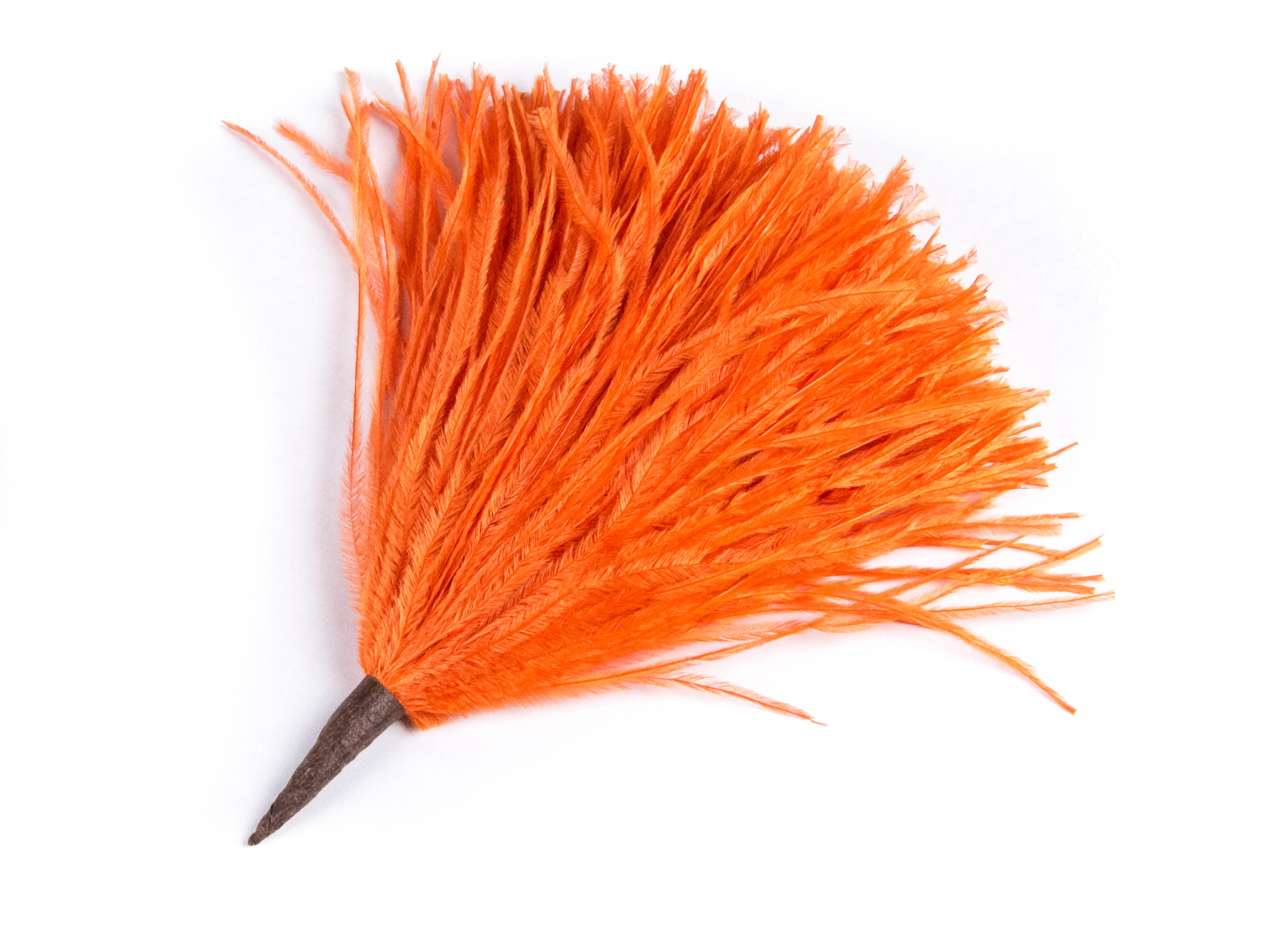 Ostrich Pom