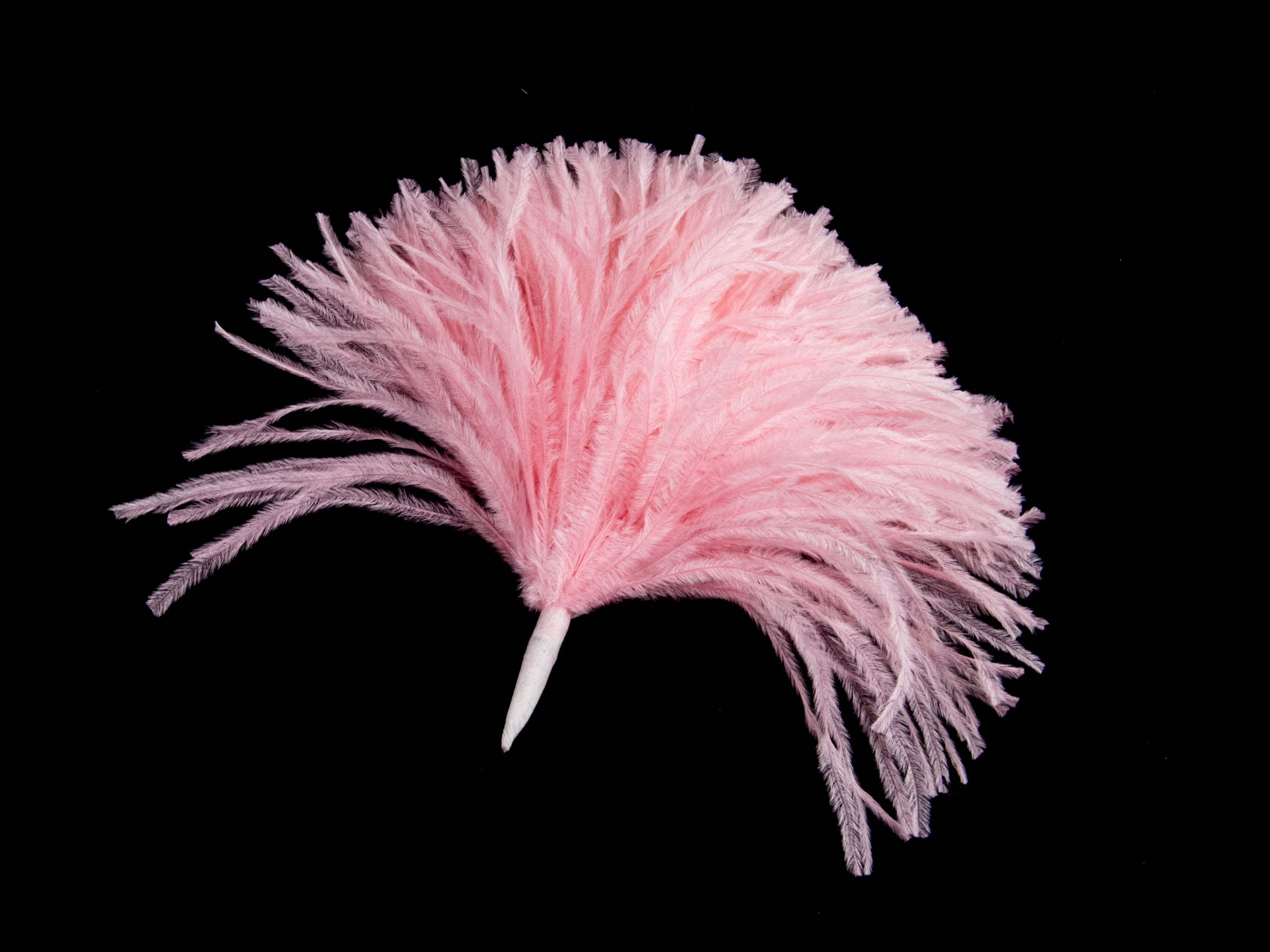 Ostrich Pom