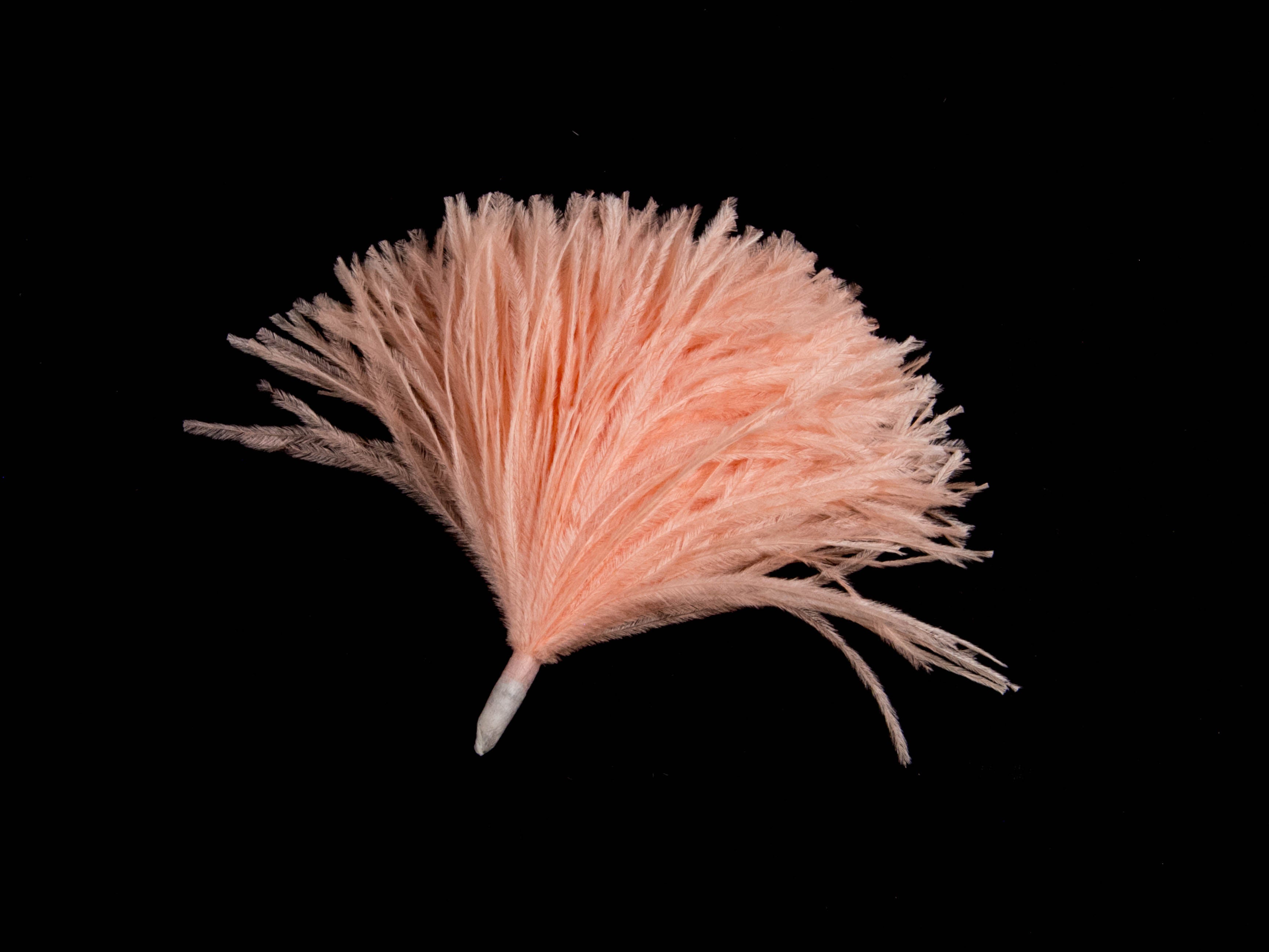 Ostrich Pom