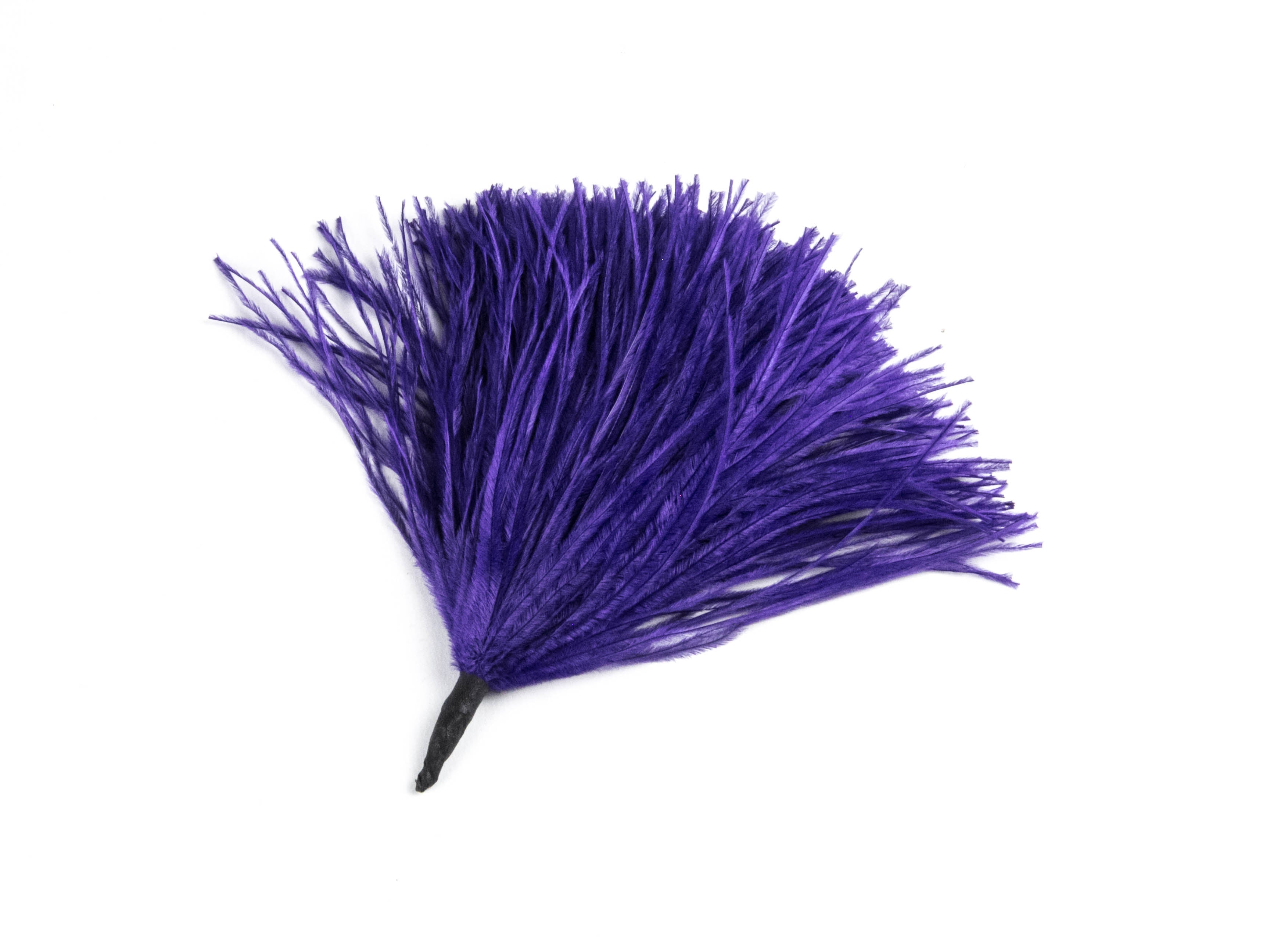 Ostrich Pom