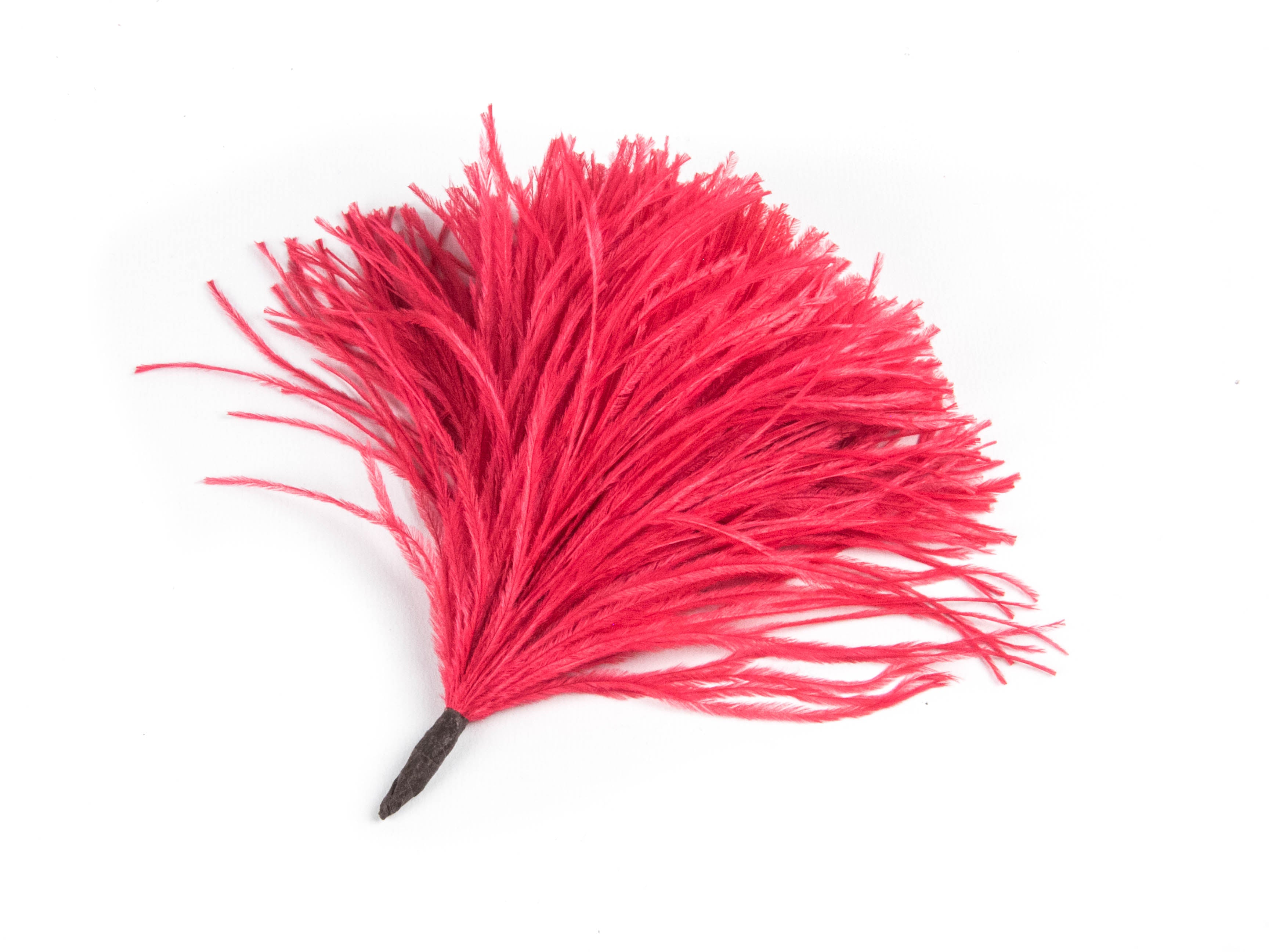 Ostrich Pom