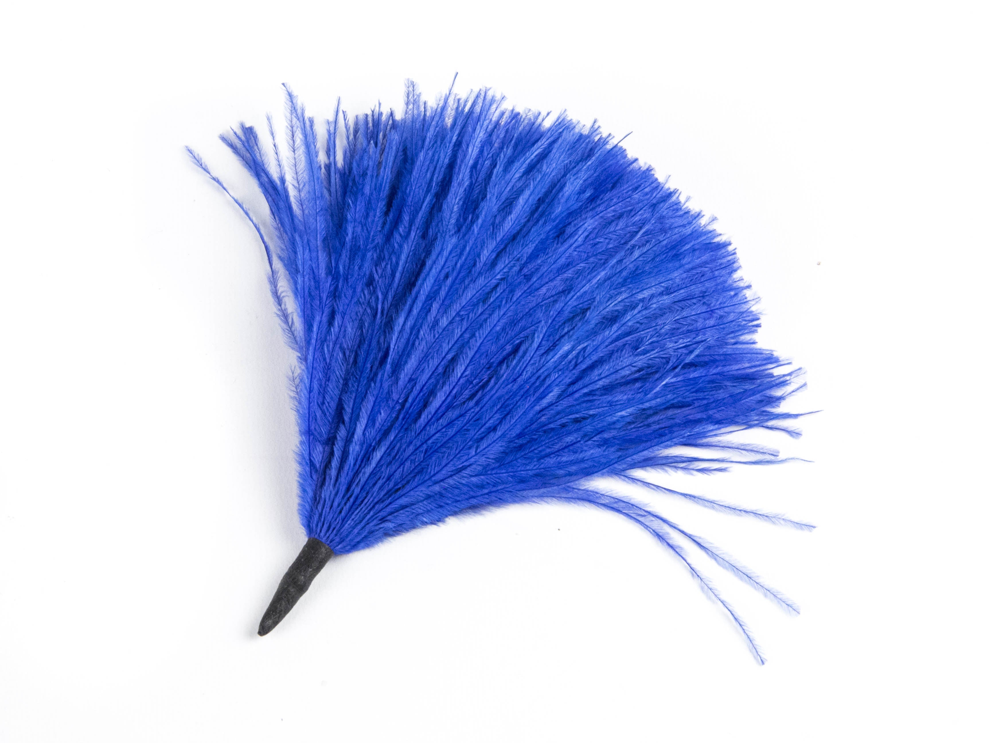 Ostrich Pom