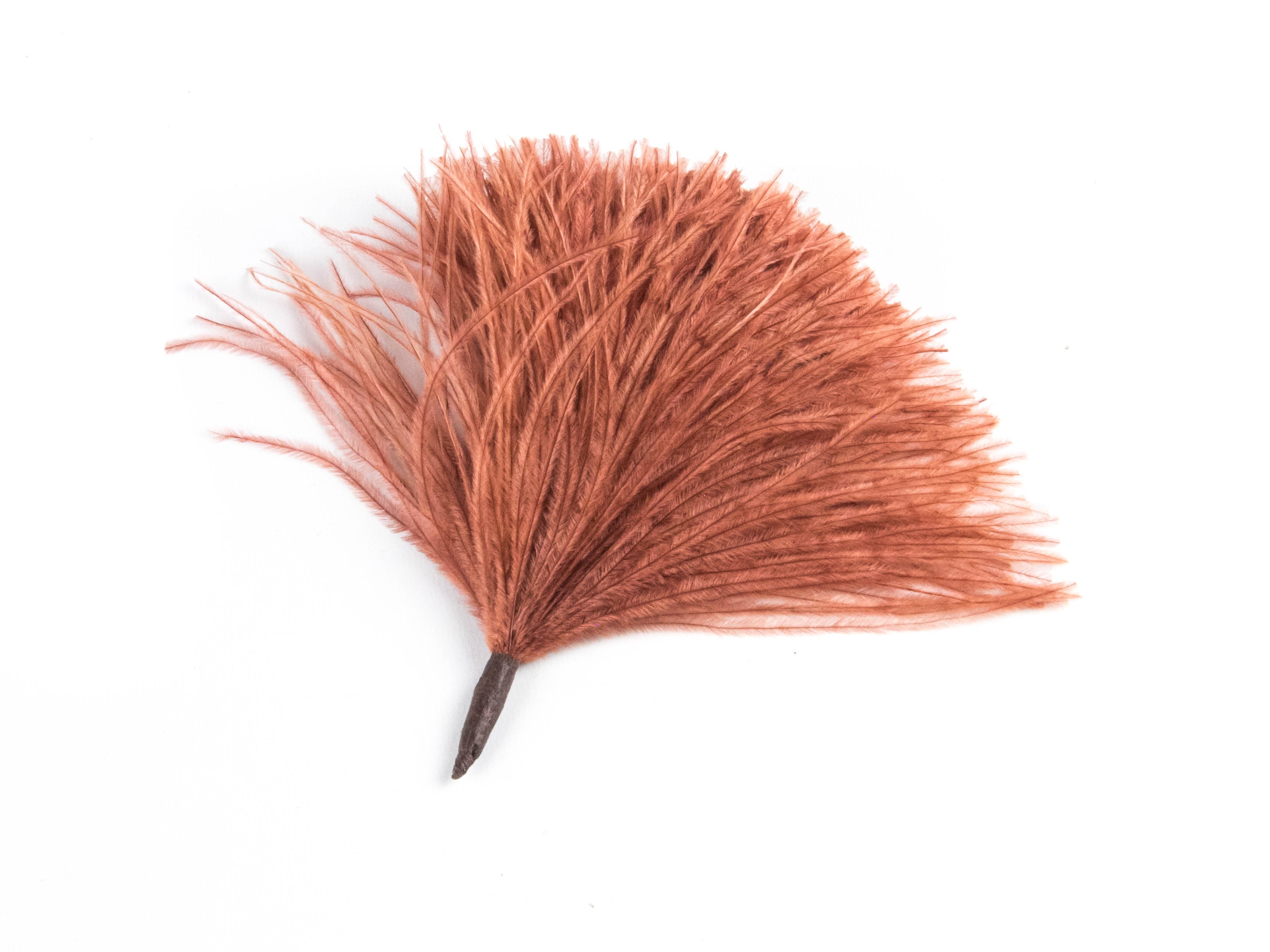 Ostrich Pom