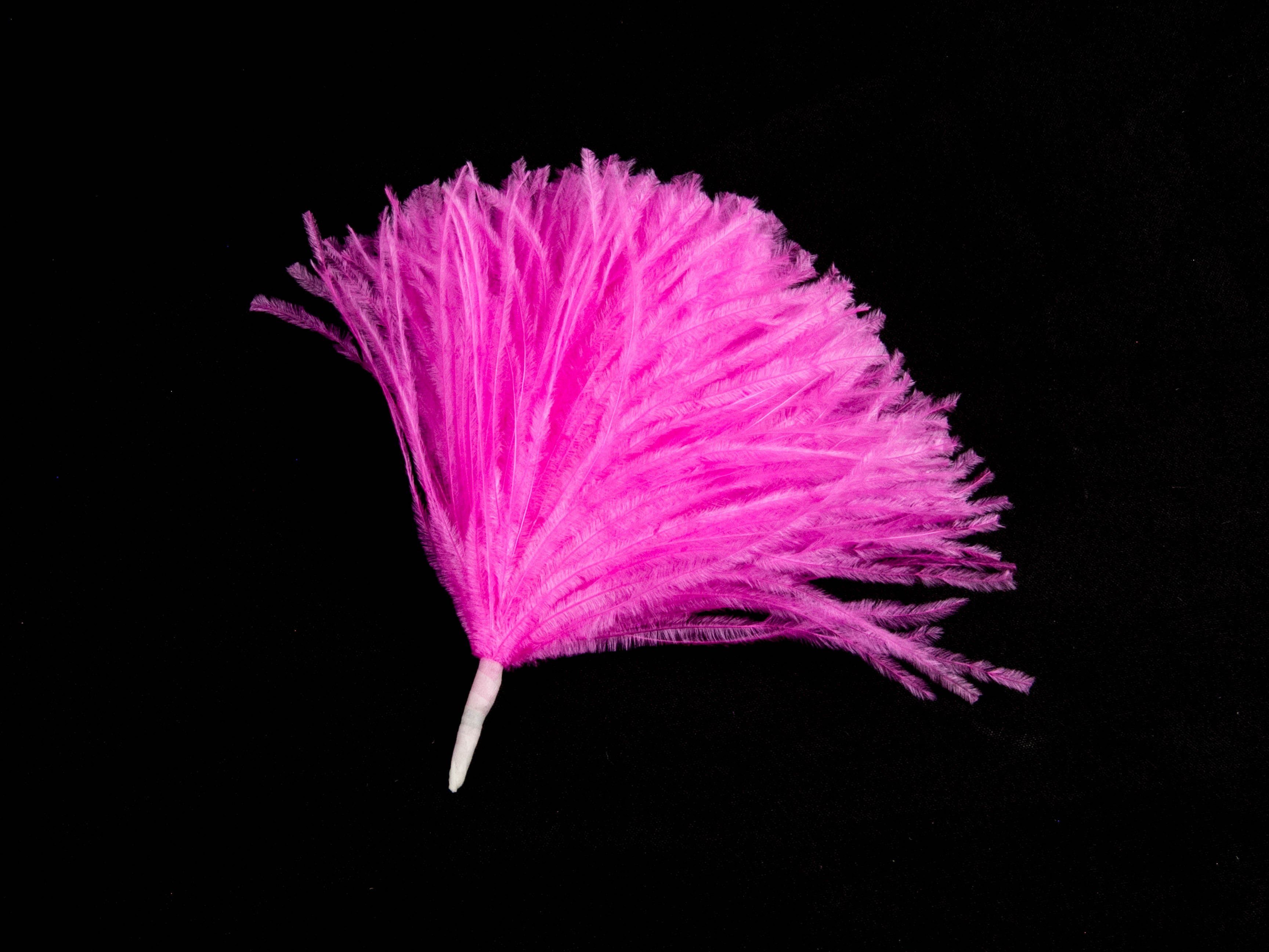 Ostrich Pom