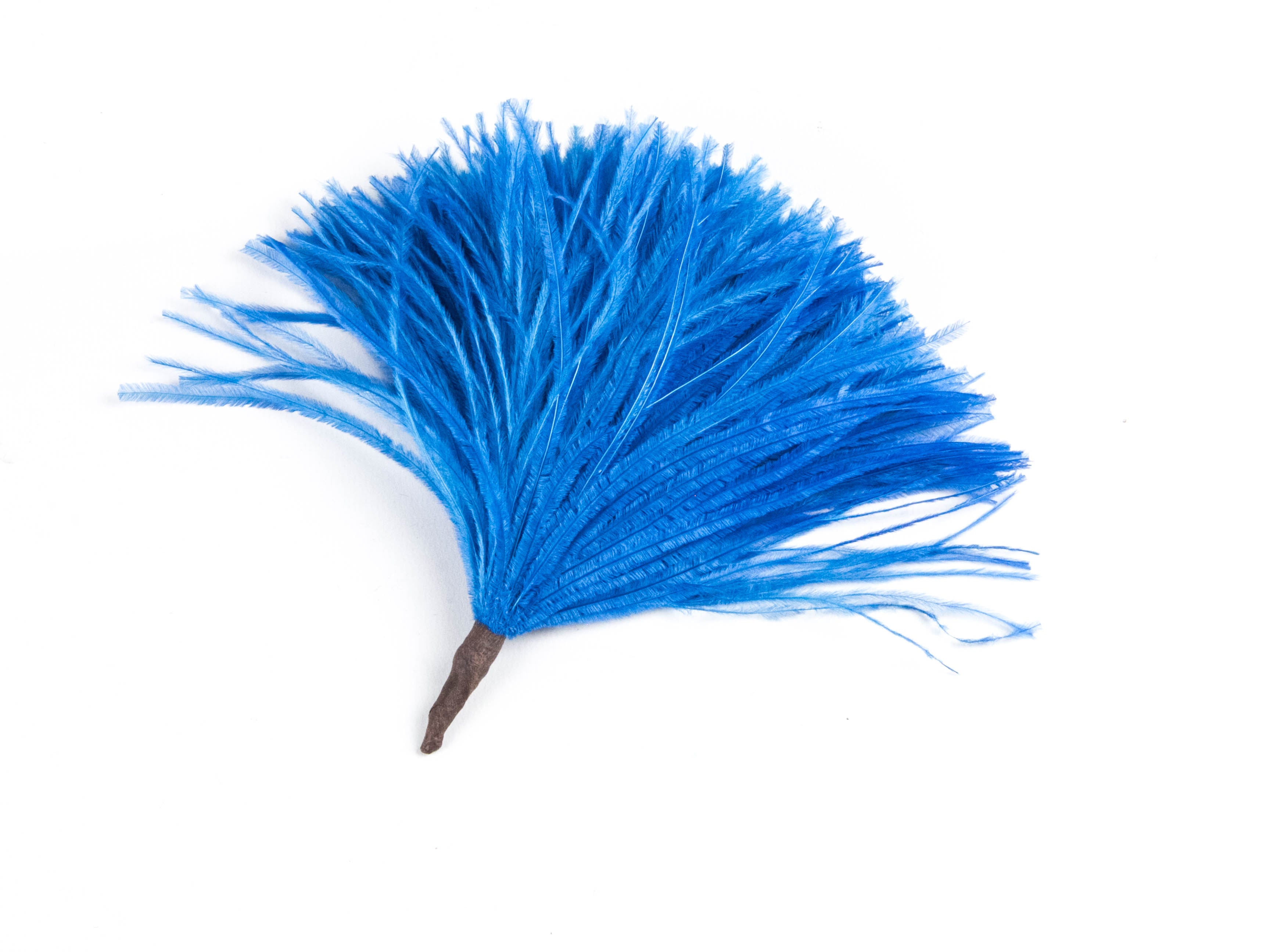 Ostrich Pom