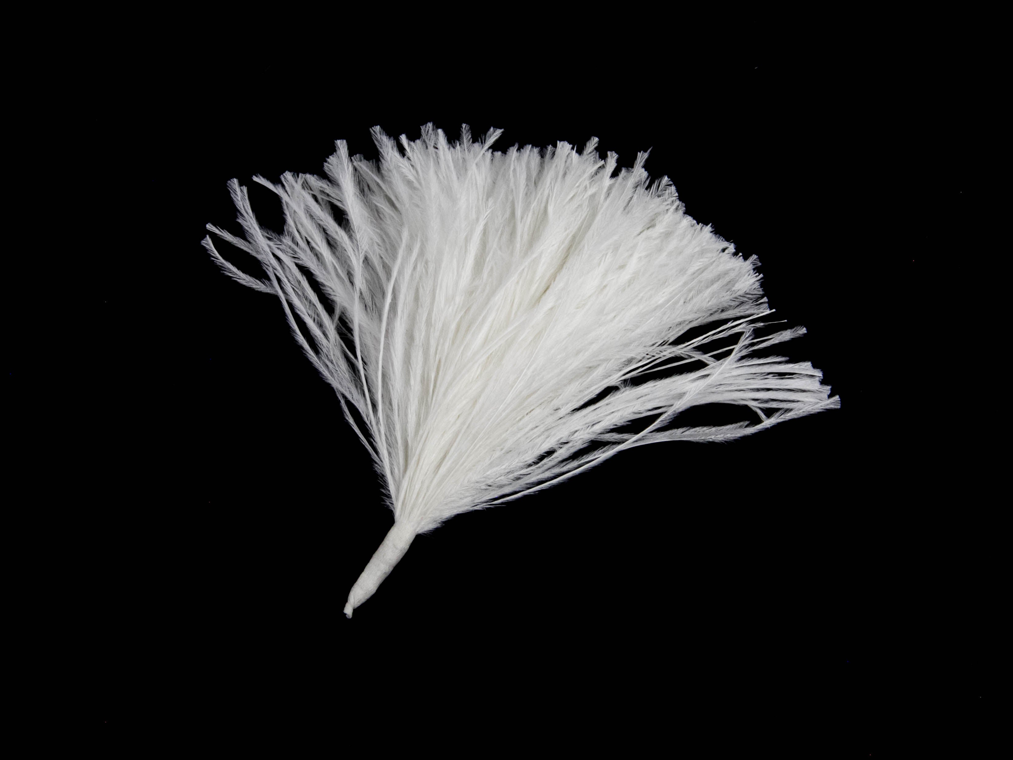 Ostrich Pom