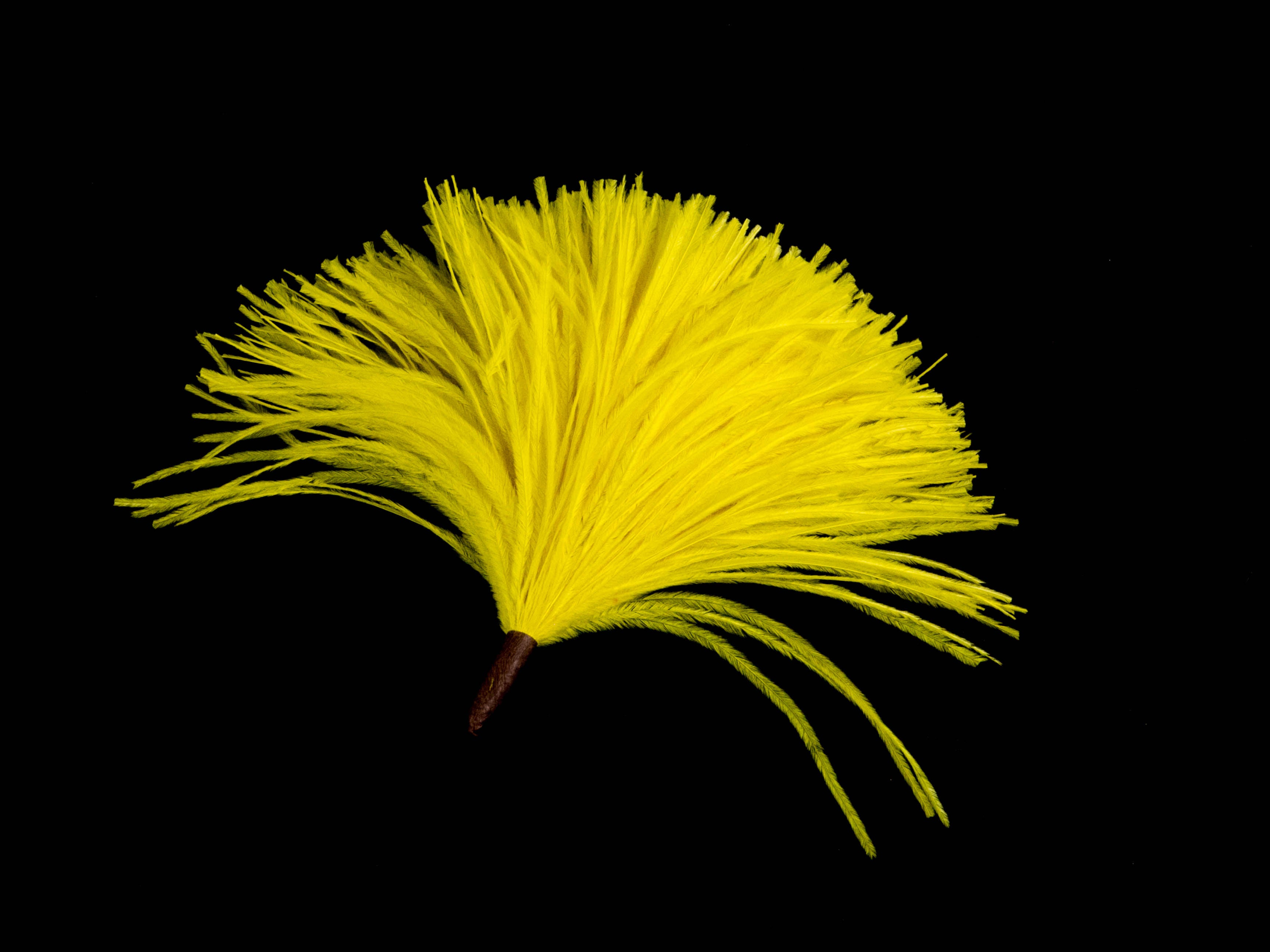 Ostrich Pom