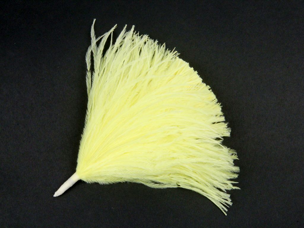 Ostrich Pom