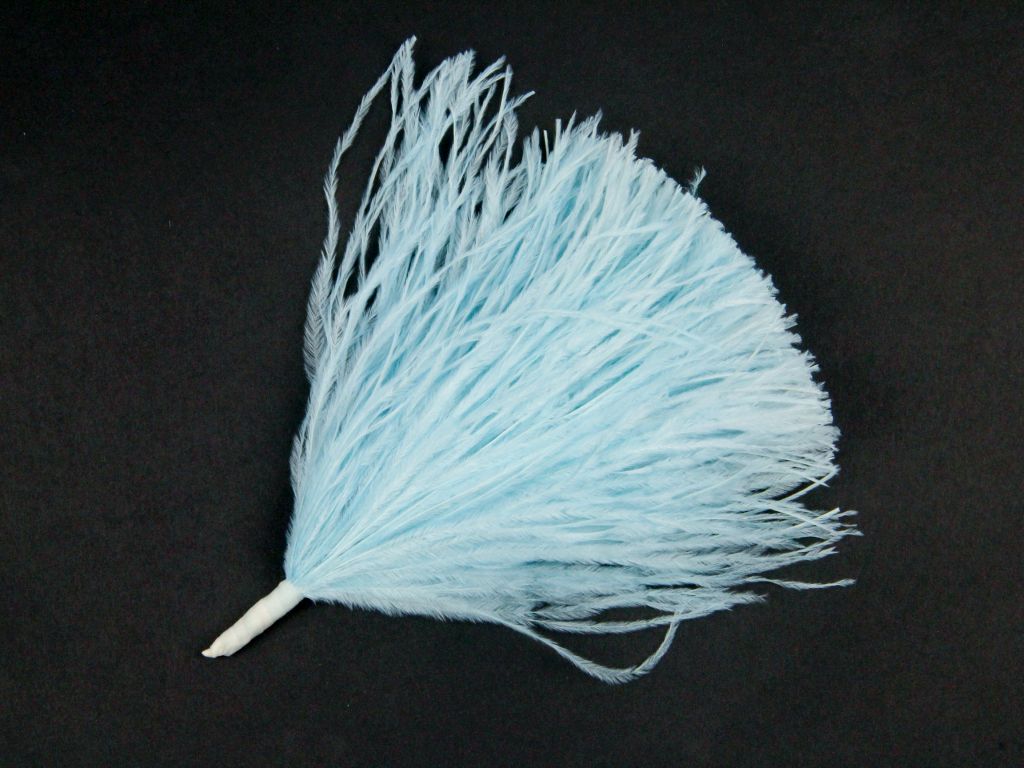 Ostrich Pom