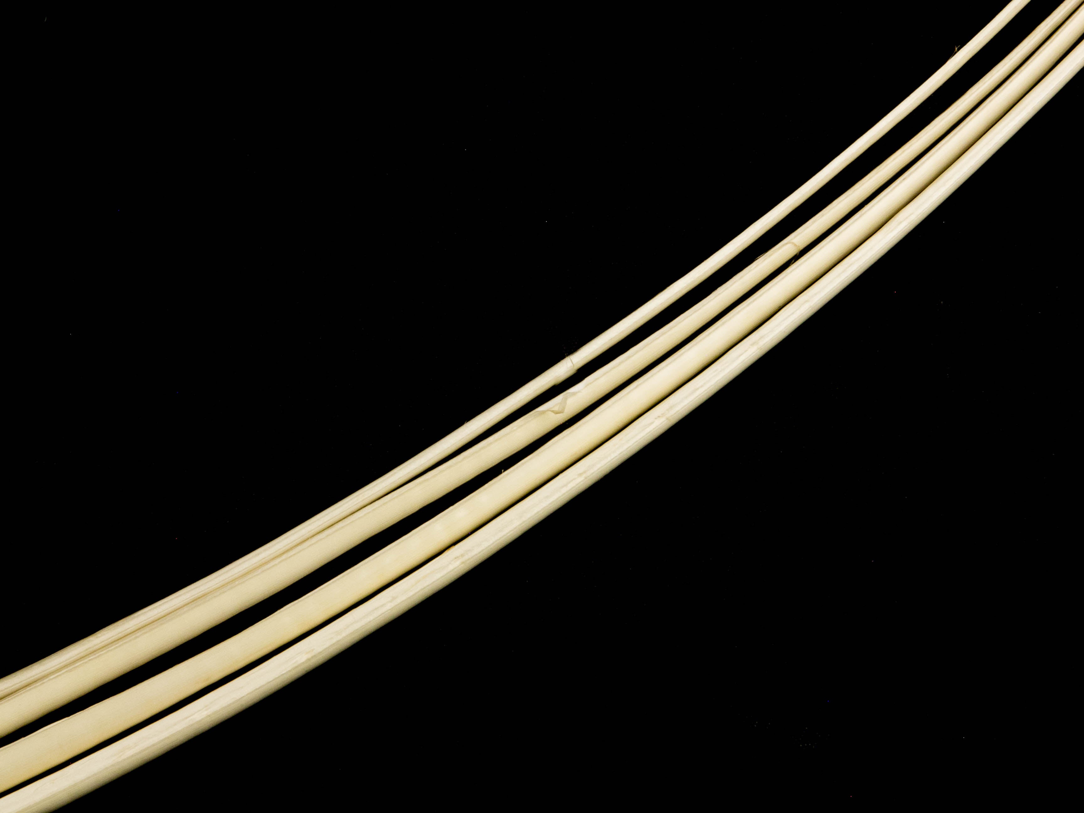 Stripped Ostrich Quill (Pack of 5)