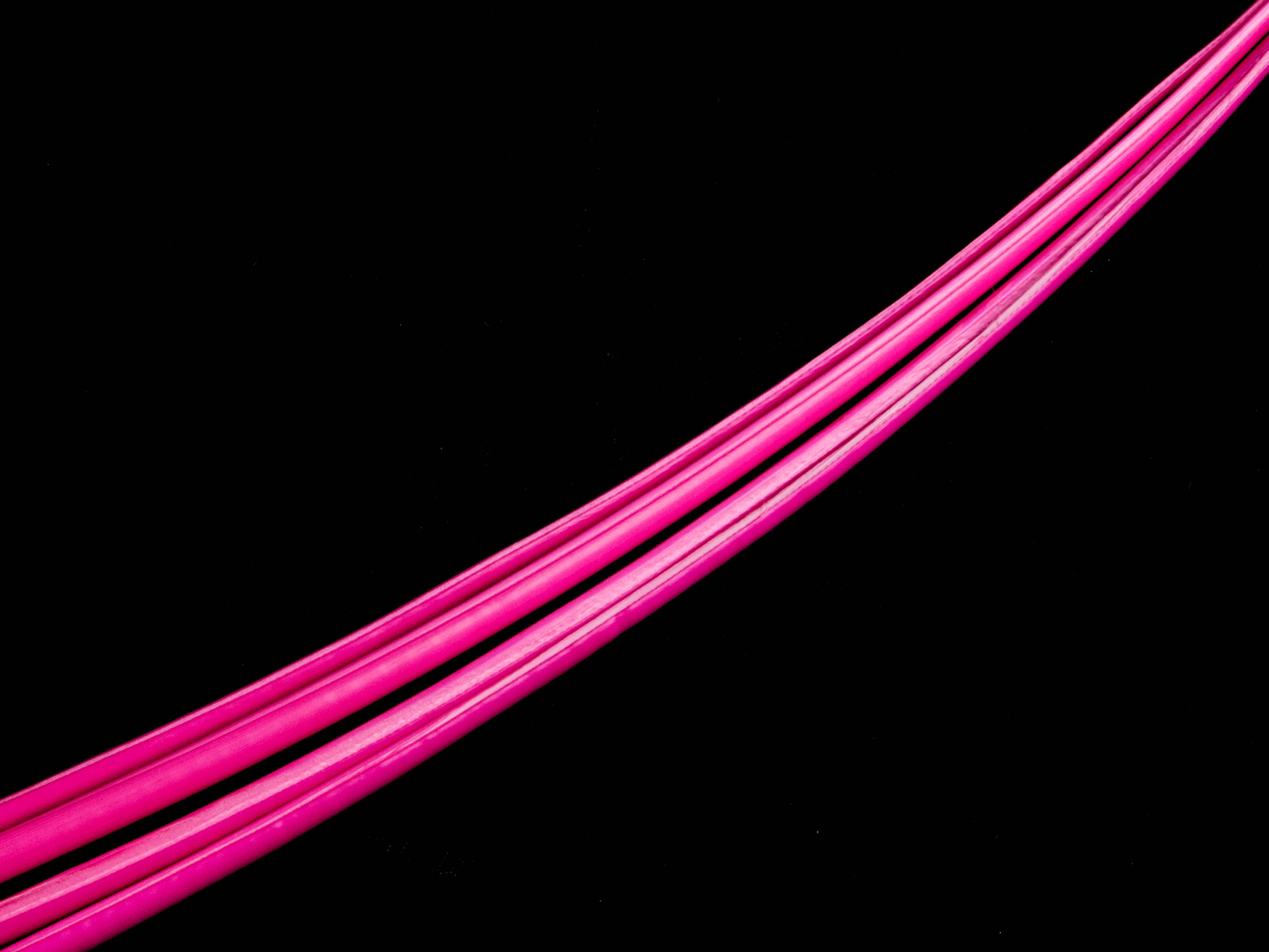 Stripped Ostrich Quill (Pack of 5)