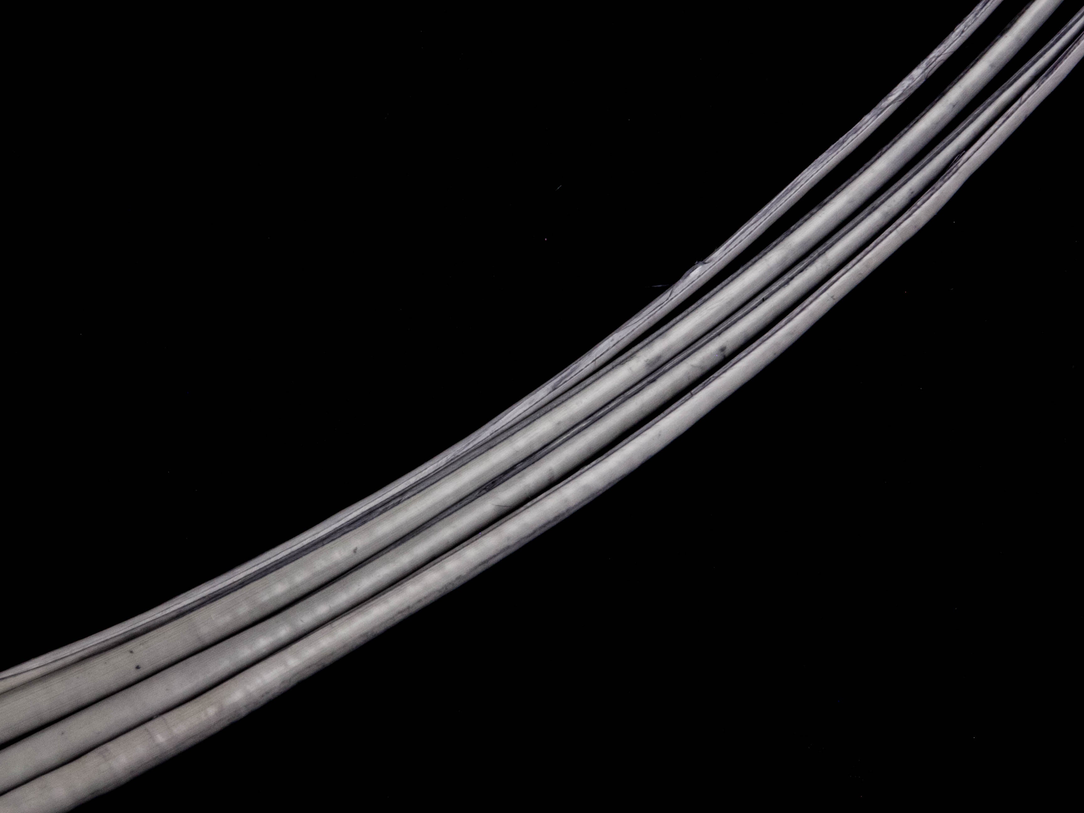 Stripped Ostrich Quill (Pack of 5)