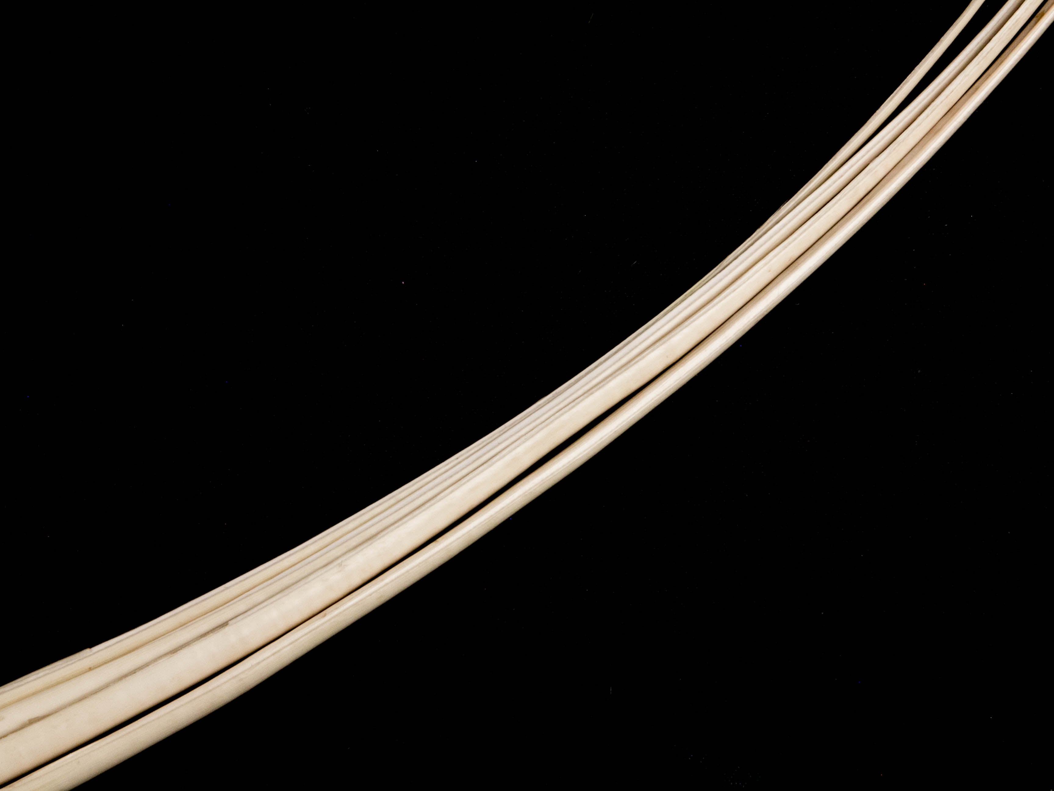 Stripped Ostrich Quill (Pack of 5)