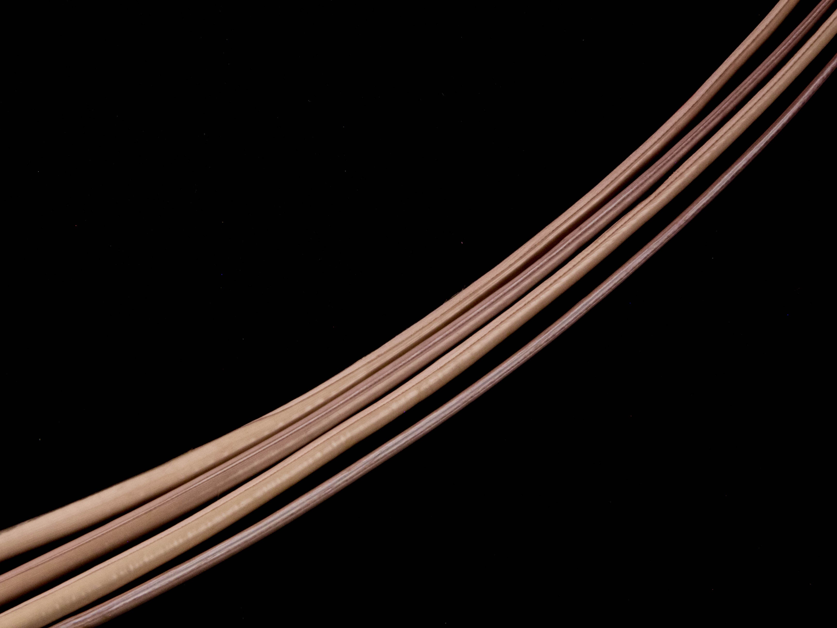 Stripped Ostrich Quill (Pack of 5)