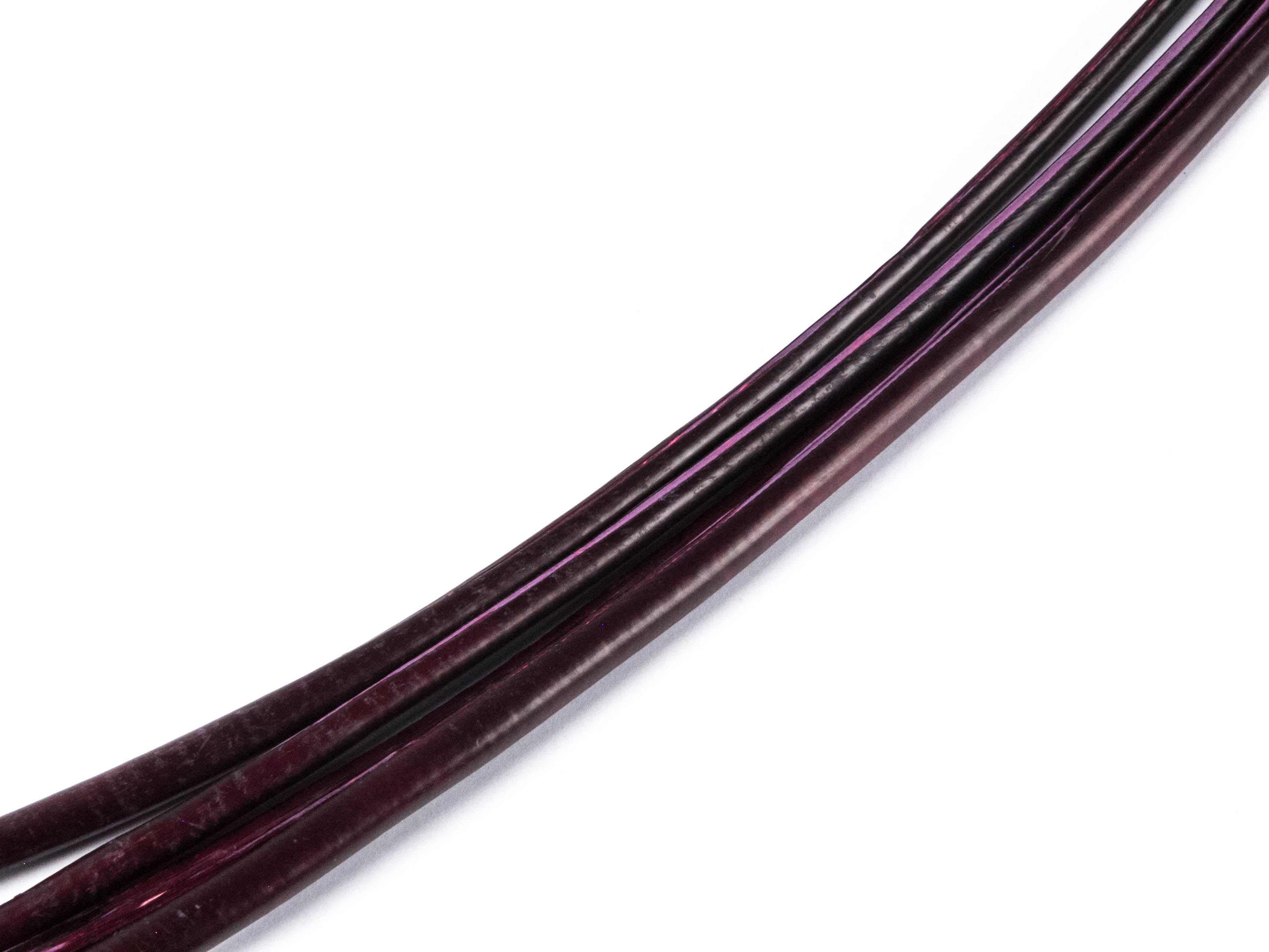 Stripped Ostrich Quill (Pack of 5)