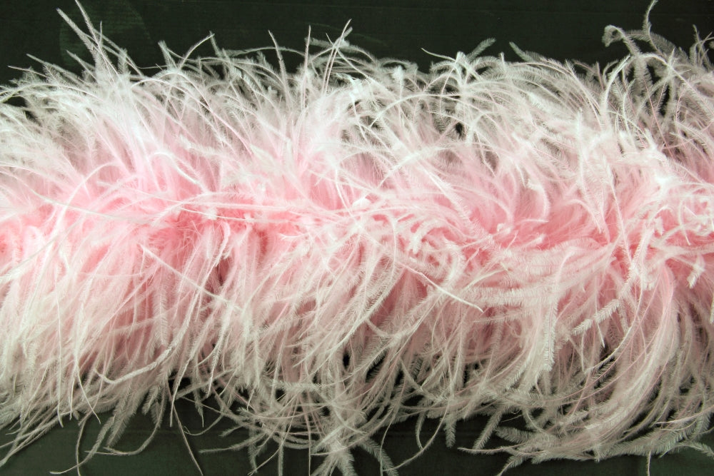 Ostrich Feather Boa with Stripped Coque - Dancewear Colours