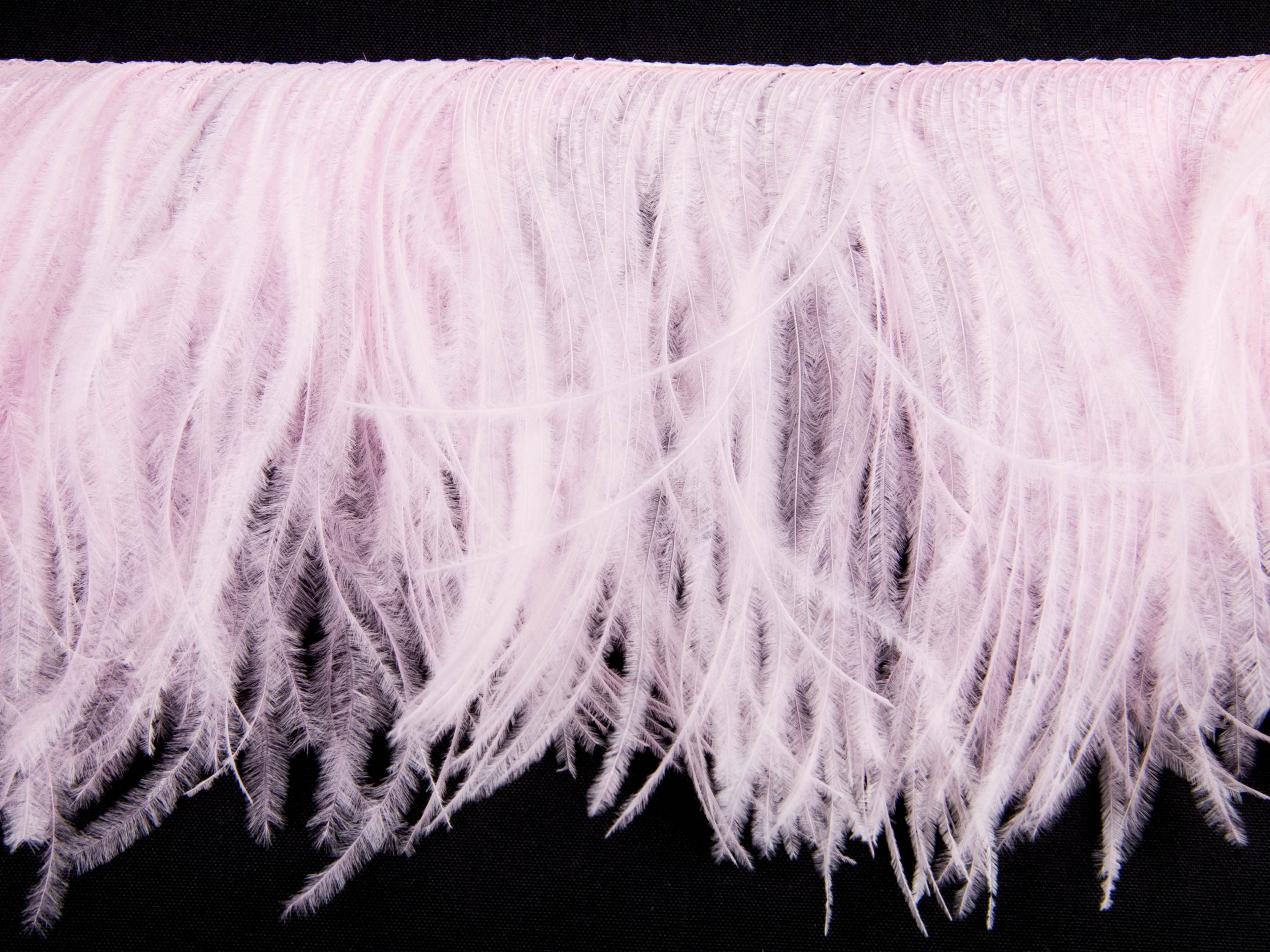 2 Ply Ostrich Feather Fringe (10cm depth) - Dancewear Colours