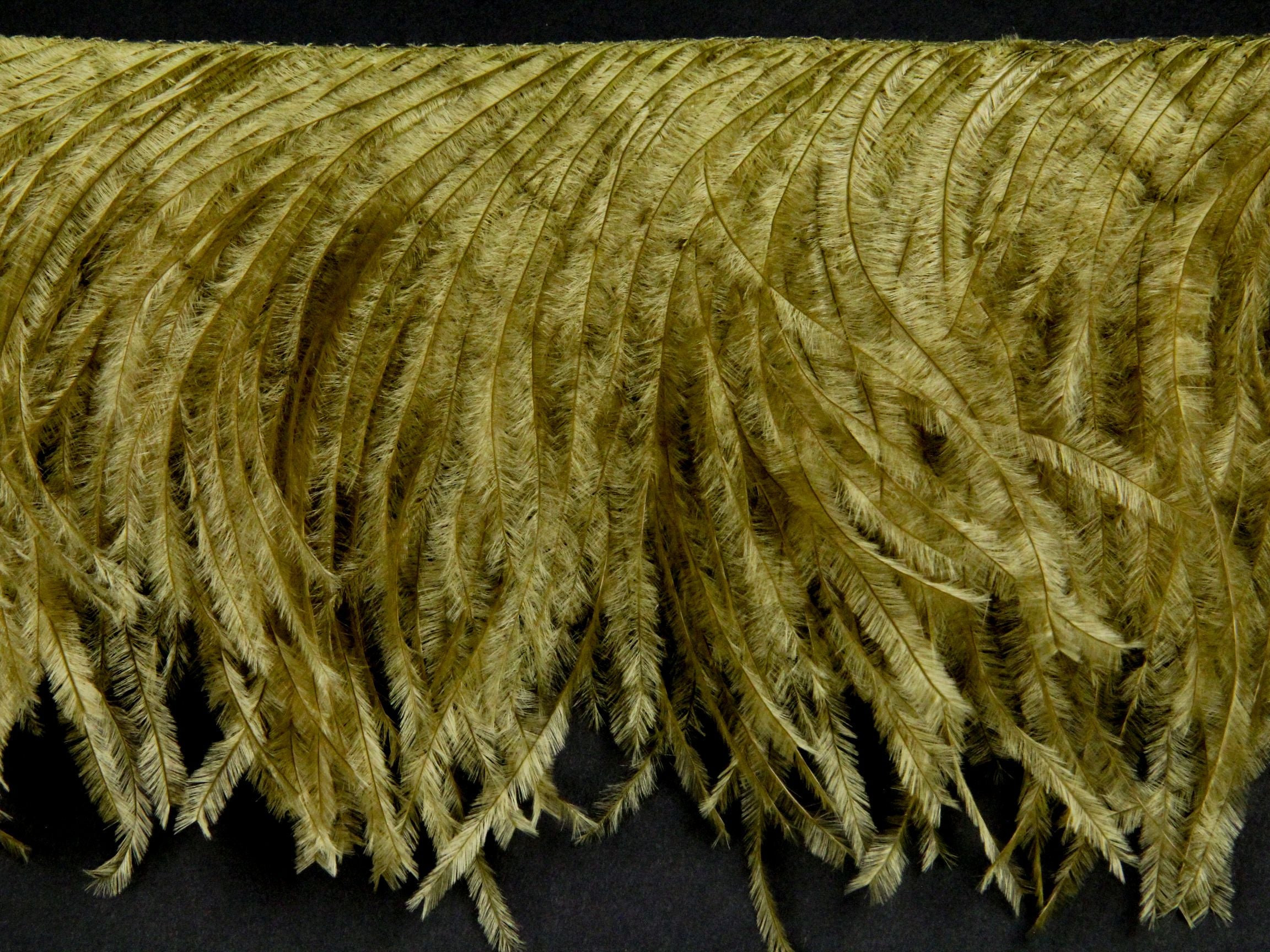 2 Ply Ostrich Fringe (13-15cm depth) - Fashion Colours