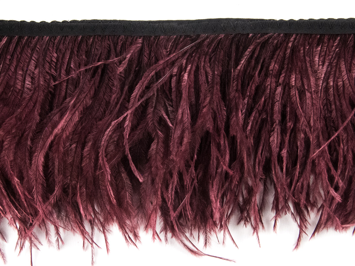 2 Ply Ostrich Feather Fringe 10 cm depth - Fashion Colours
