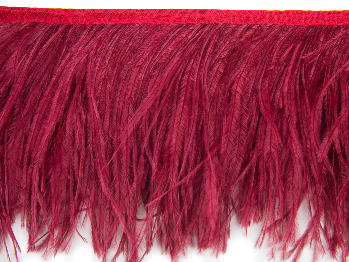 2 Ply Ostrich Feather Fringe 10 cm depth - Fashion Colours