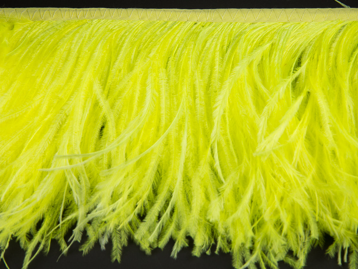 2 Ply Ostrich Feather Fringe 10 cm depth - Fashion Colours