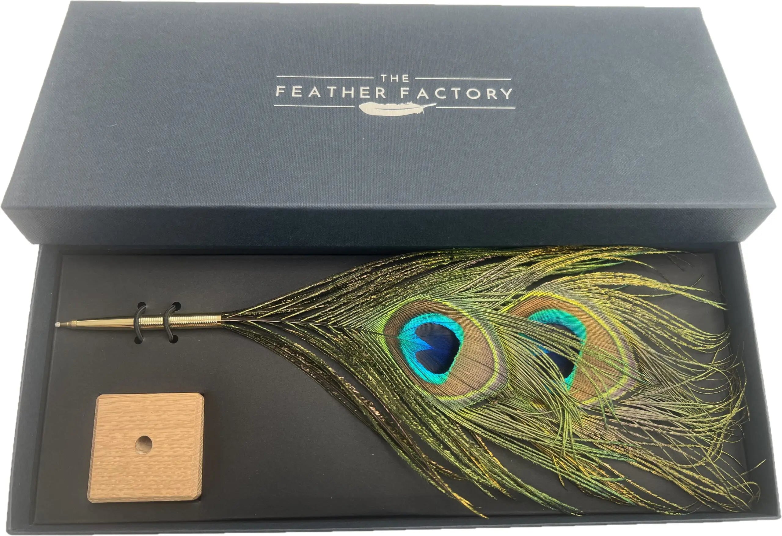 Peacock Feather Pens (Pack of 10)