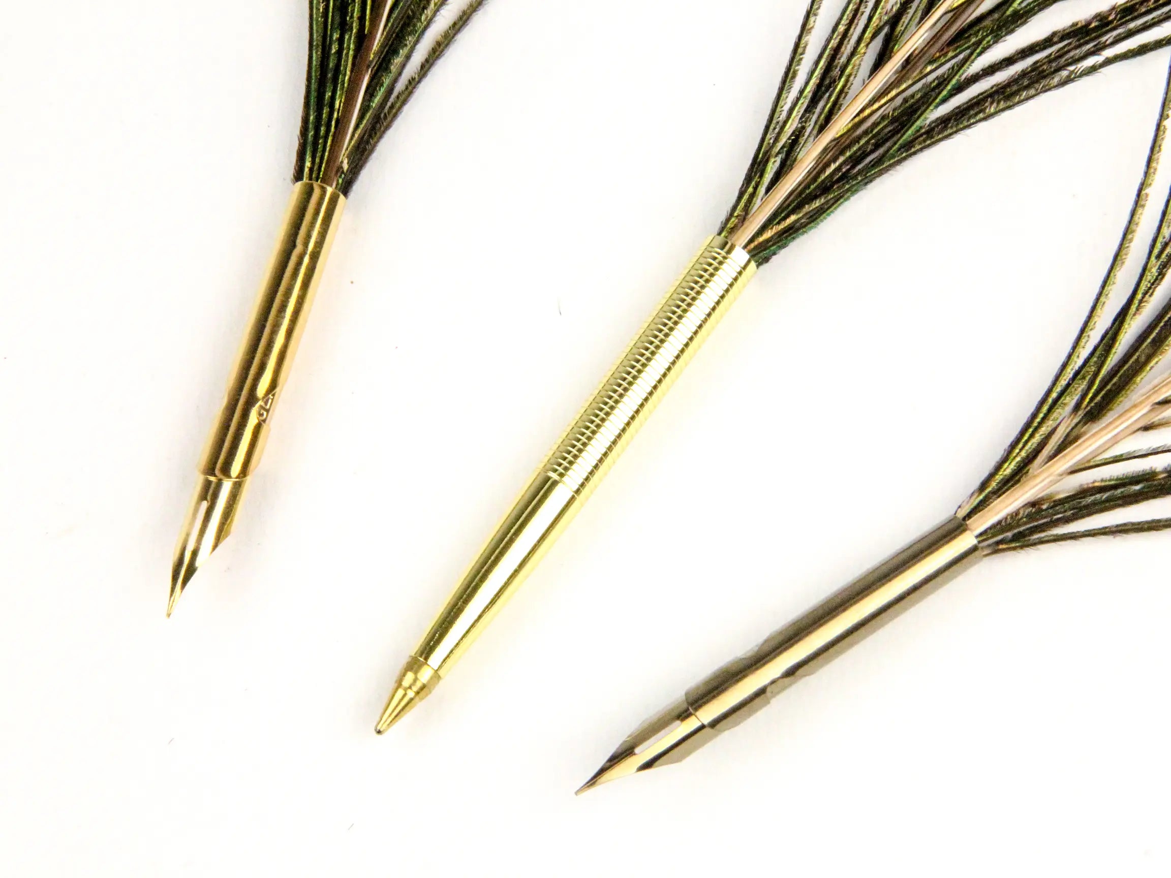 Peacock Feather Pens (Pack of 10)