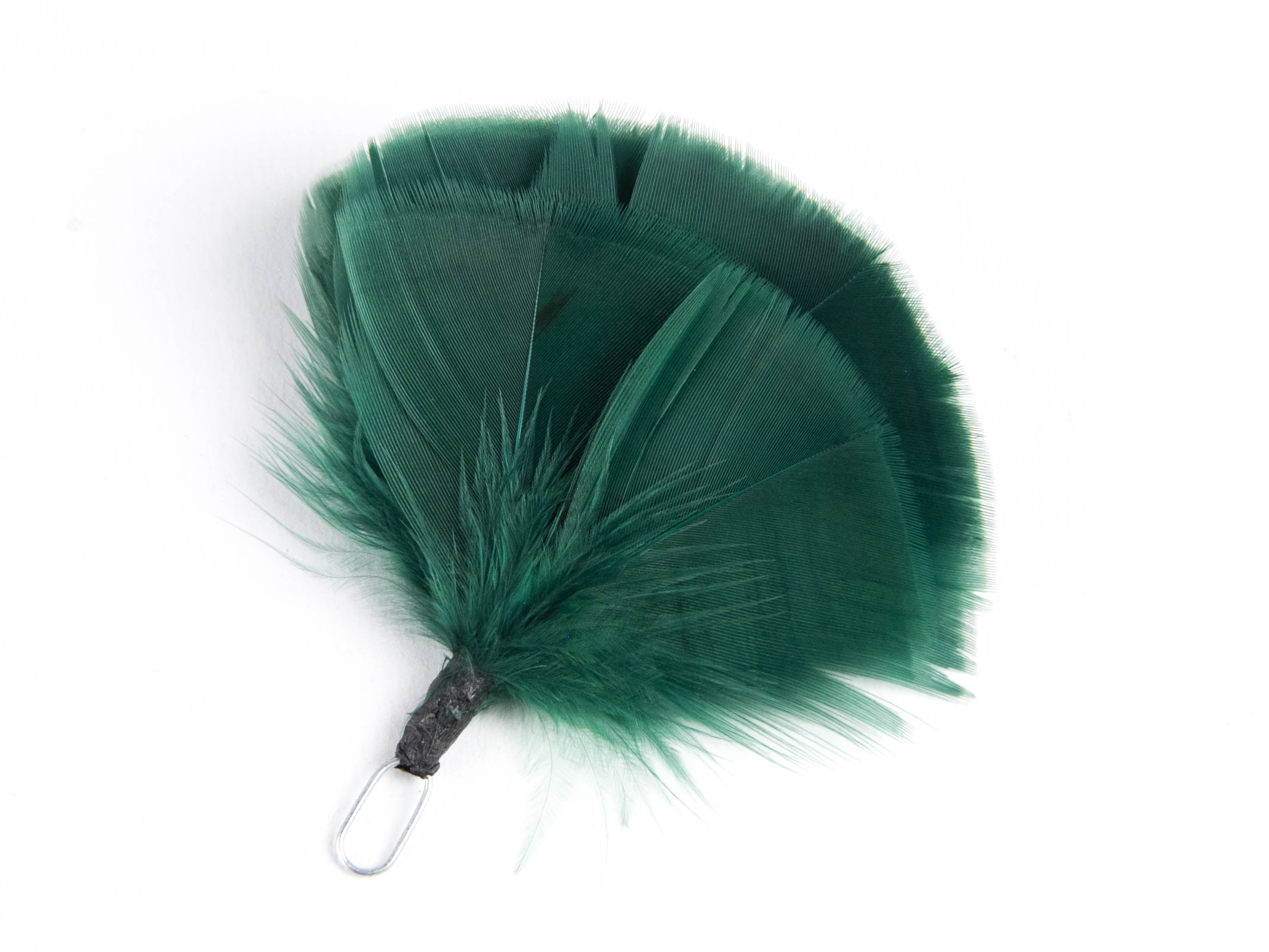 Queens Own Highlander plume (Pack of 5)