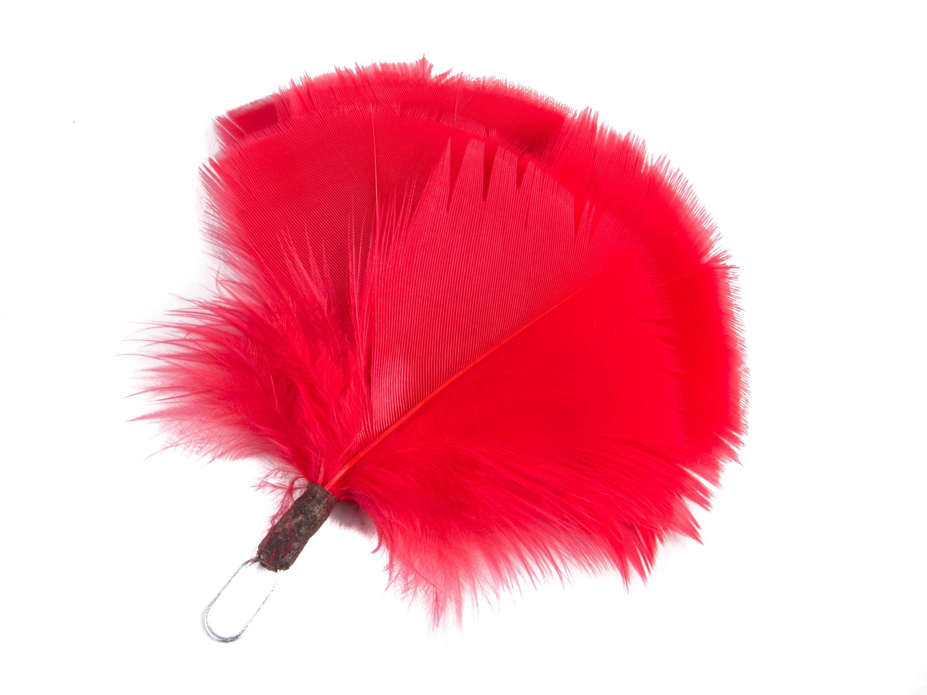 Queens Own Highlander plume (Pack of 5)