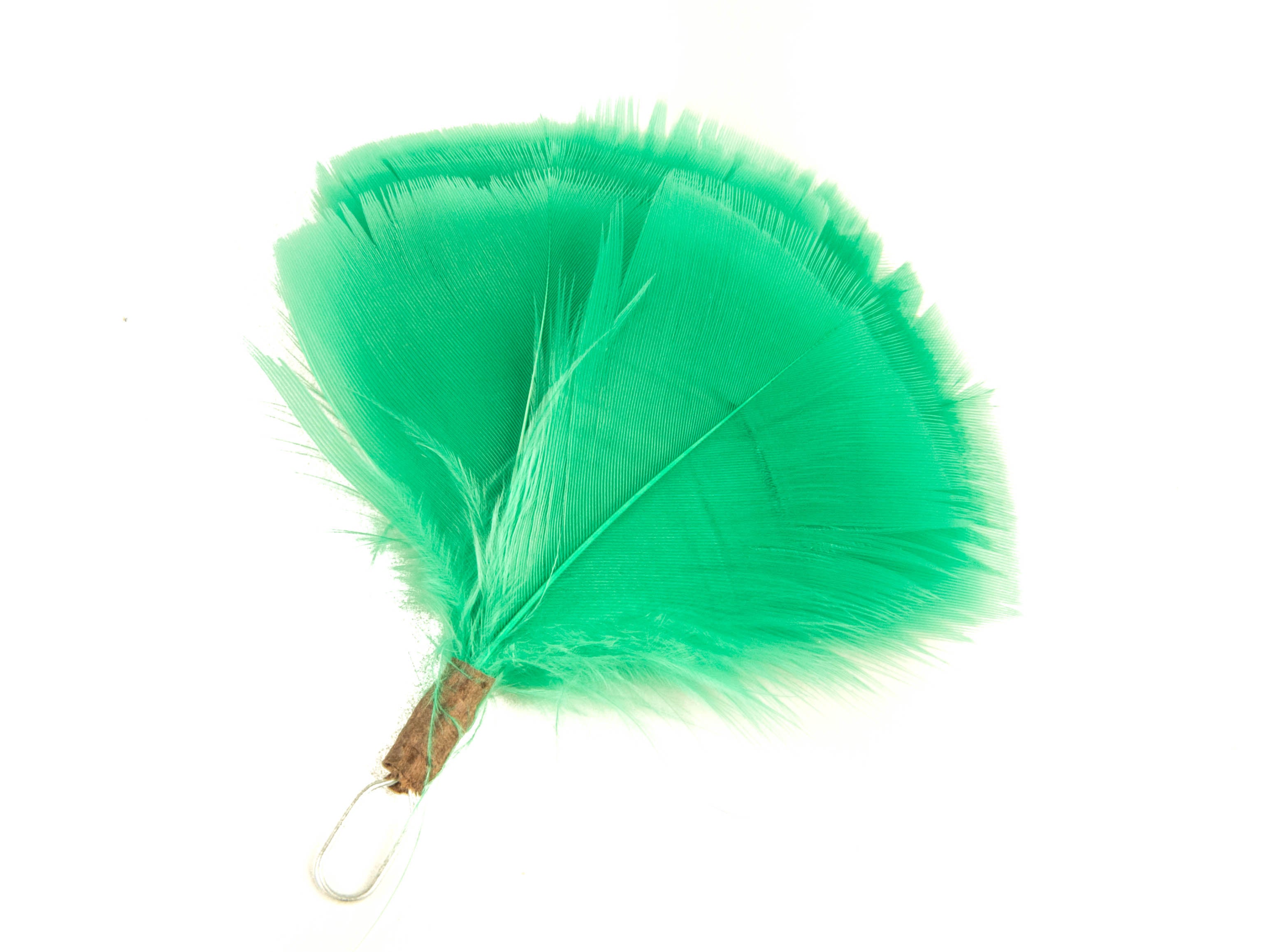 Queens Own Highlander plume (Pack of 5)