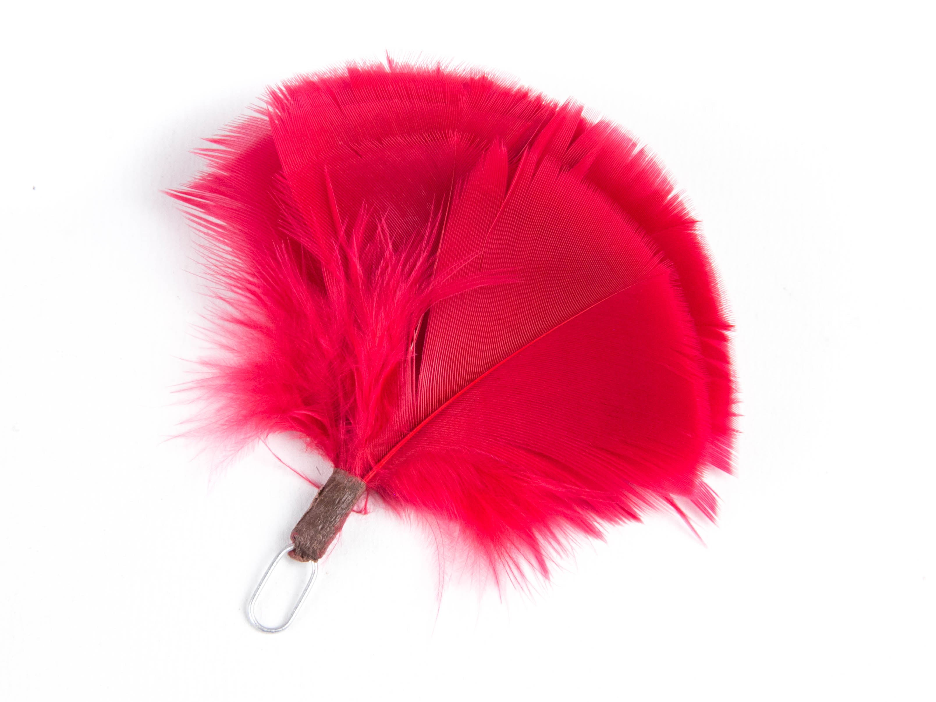 Queens Own Highlander plume (Pack of 5)