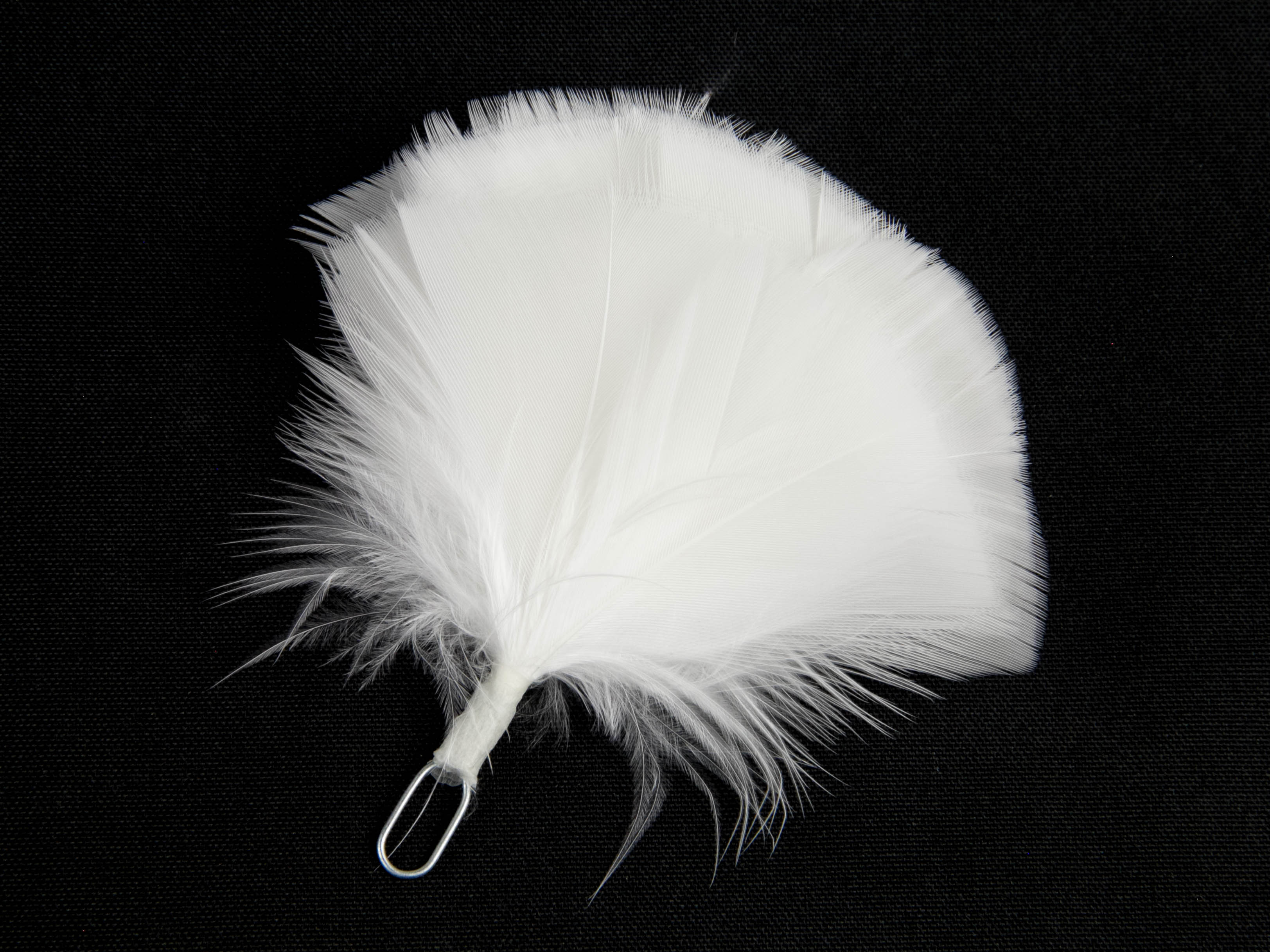 Queens Own Highlander plume (Pack of 5)