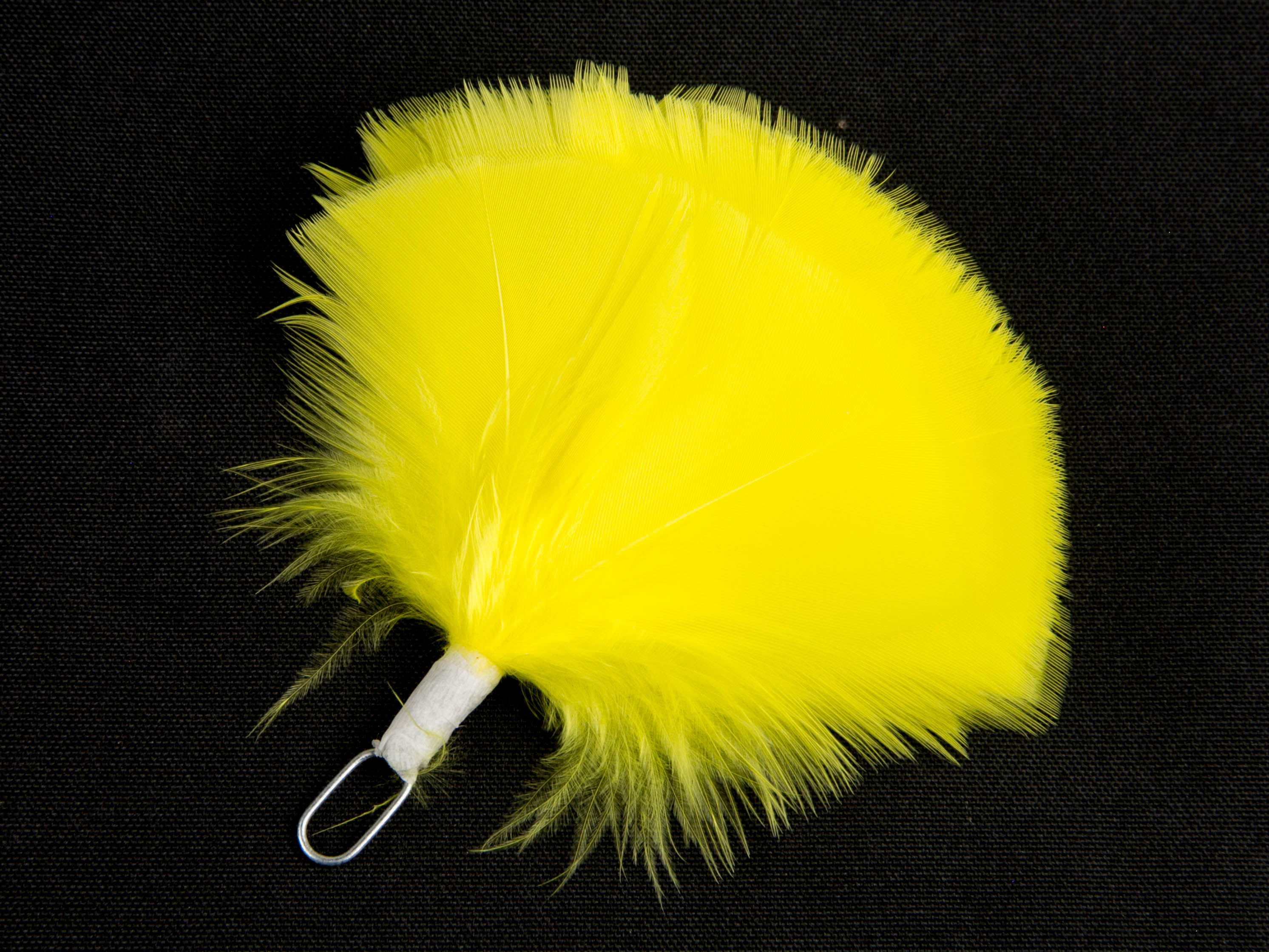 Queens Own Highlander plume (Pack of 5)