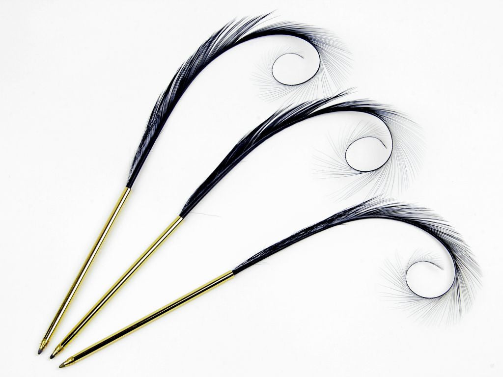 Curled and Burnt Pheasant Feather Pens (Pack of 10)