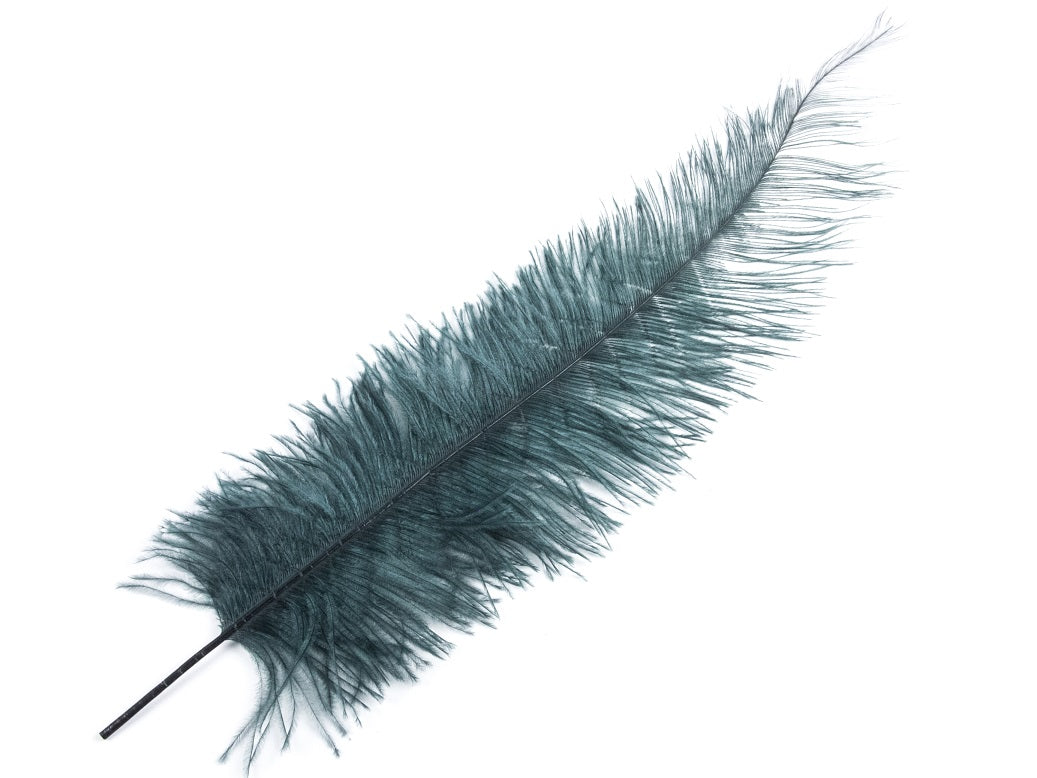 Ostrich Spadone Feather (50-65cm)