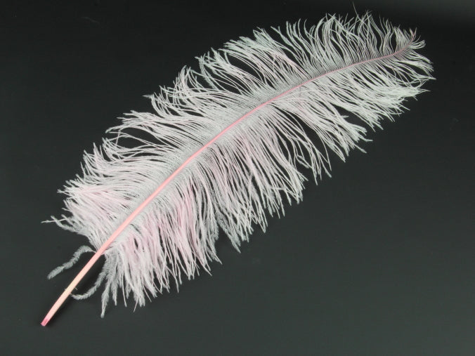 Ostrich Spadone Feather (50-65cm)