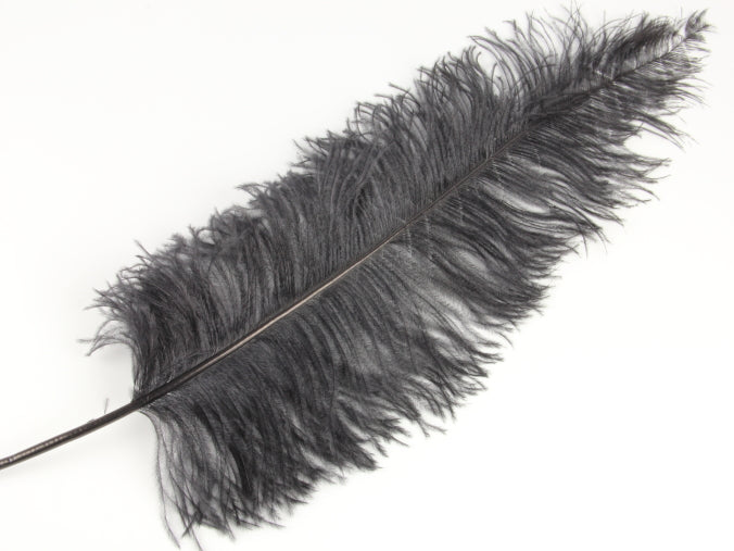 Ostrich Spadone Feather (50-65cm)